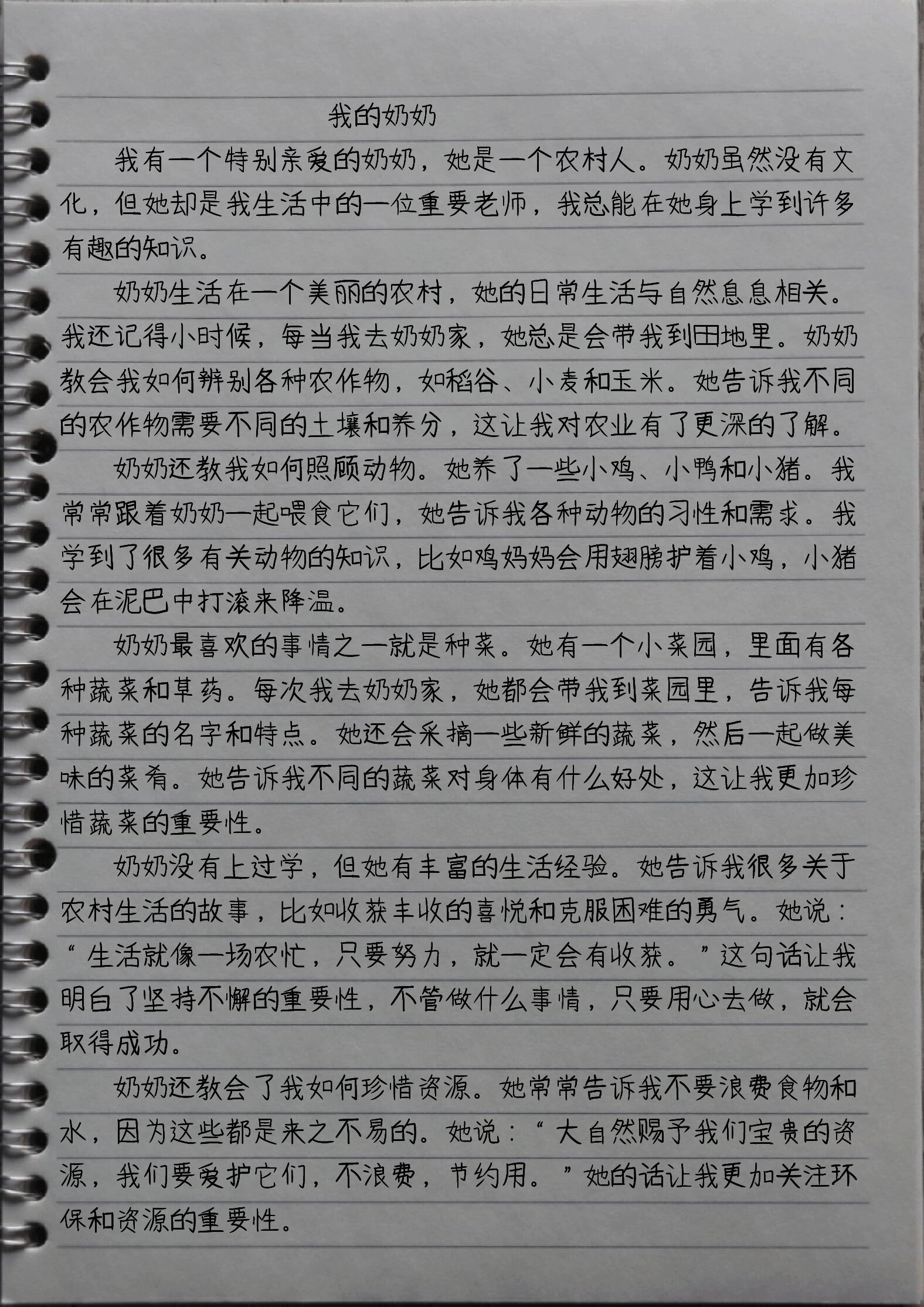 小学作文,我的奶奶