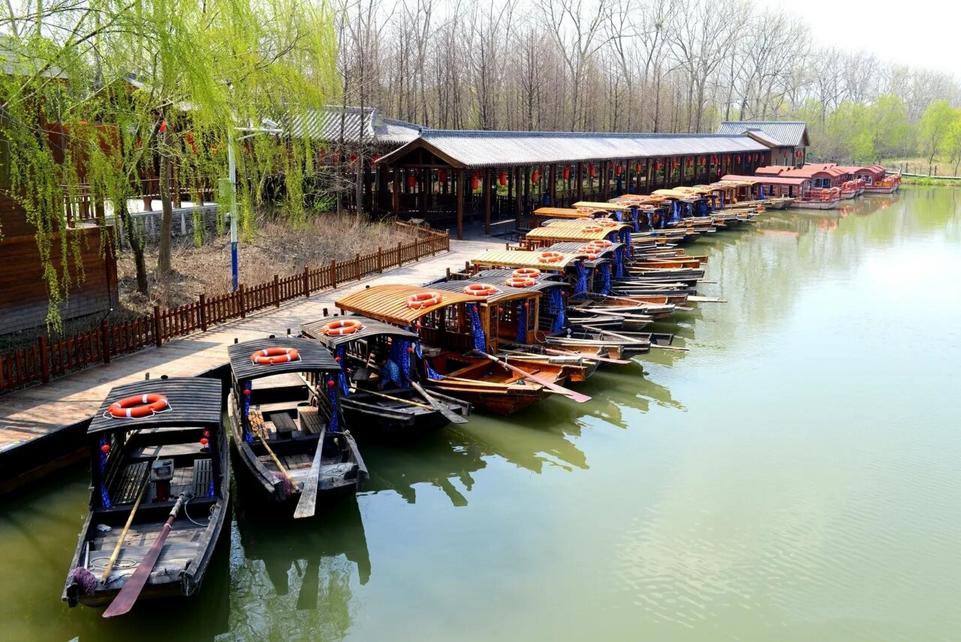 溱湖风景区图片图片