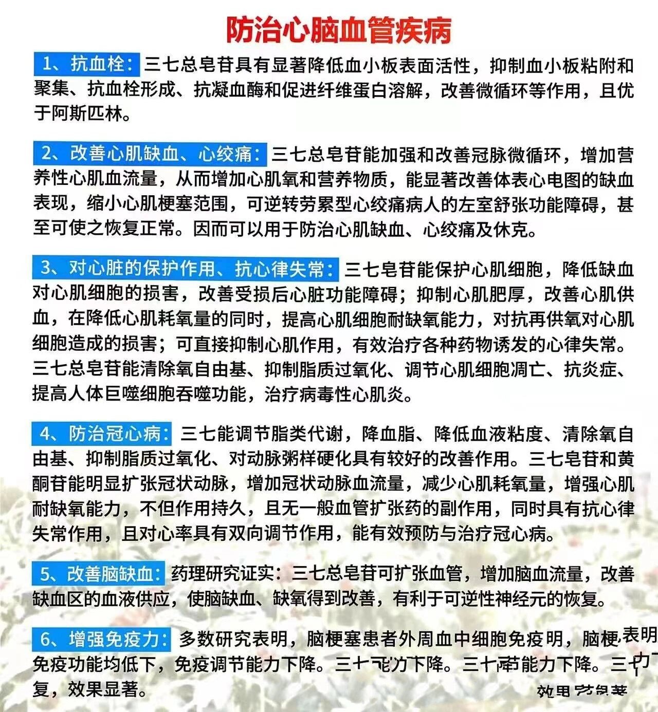 鲜三七口服液养生,安全有效 云南金七制药作为国家高新技术企业,一直