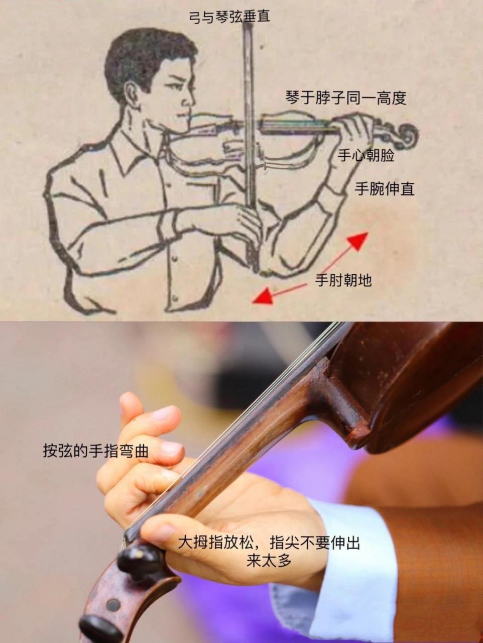 小提琴夹琴的正确方式图片