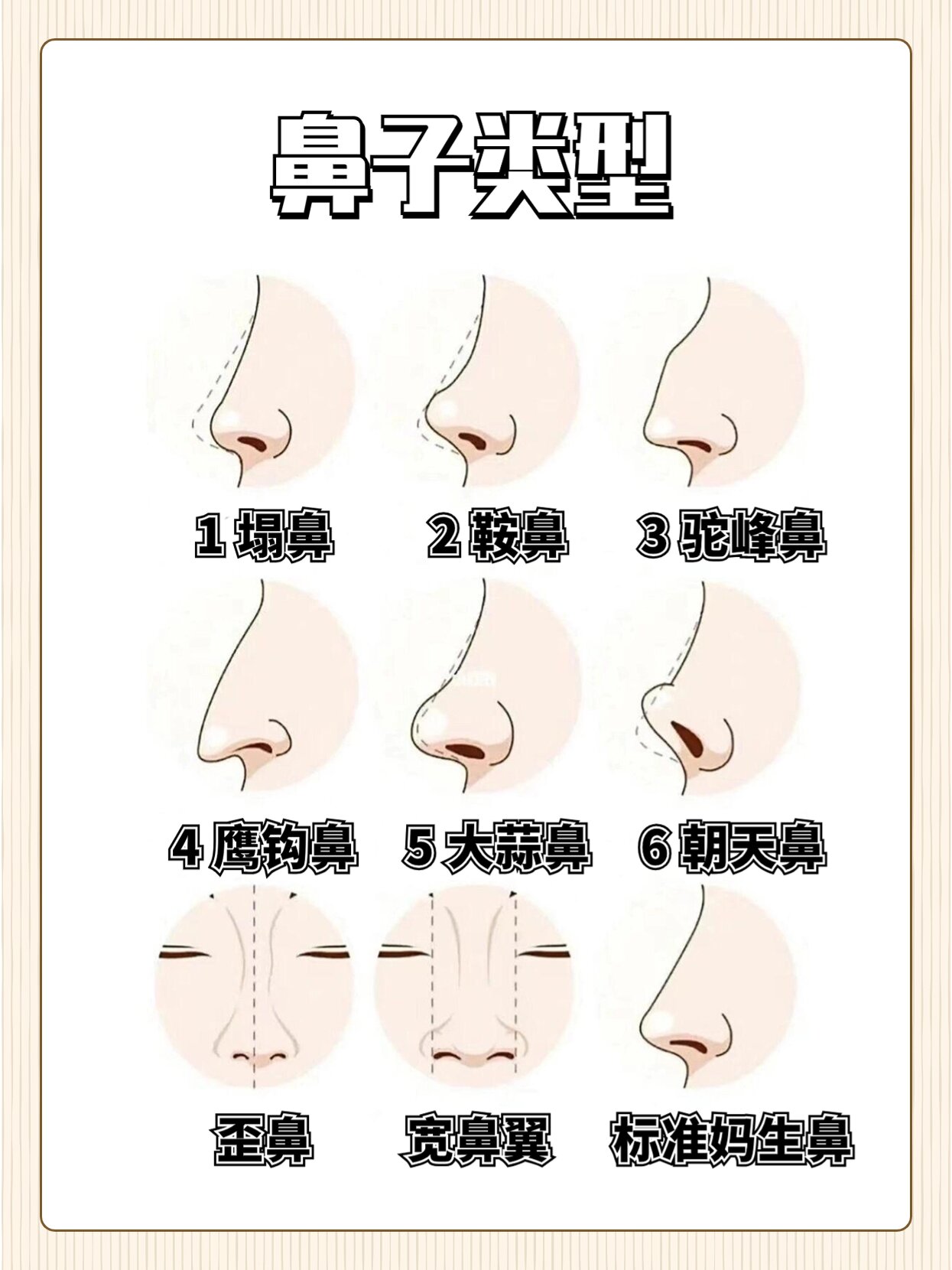 9种鼻子形态看看你是第几个?