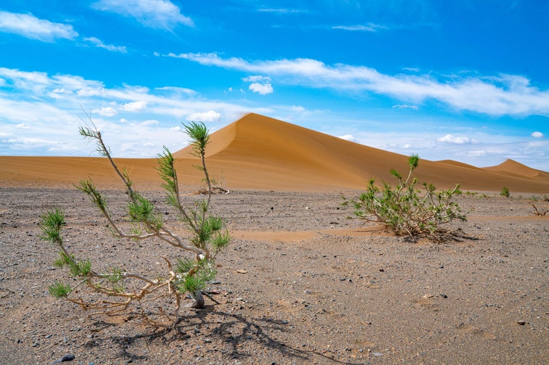 木垒鸣沙山 位于新疆昌吉木垒县以北,是一个比较古老的沙漠,颜色比较