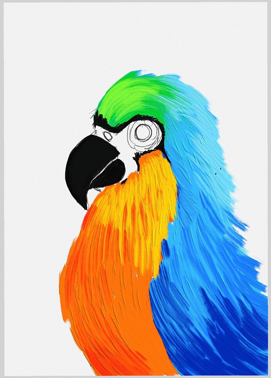 鹦鹉儿童丙烯画 创意儿童画