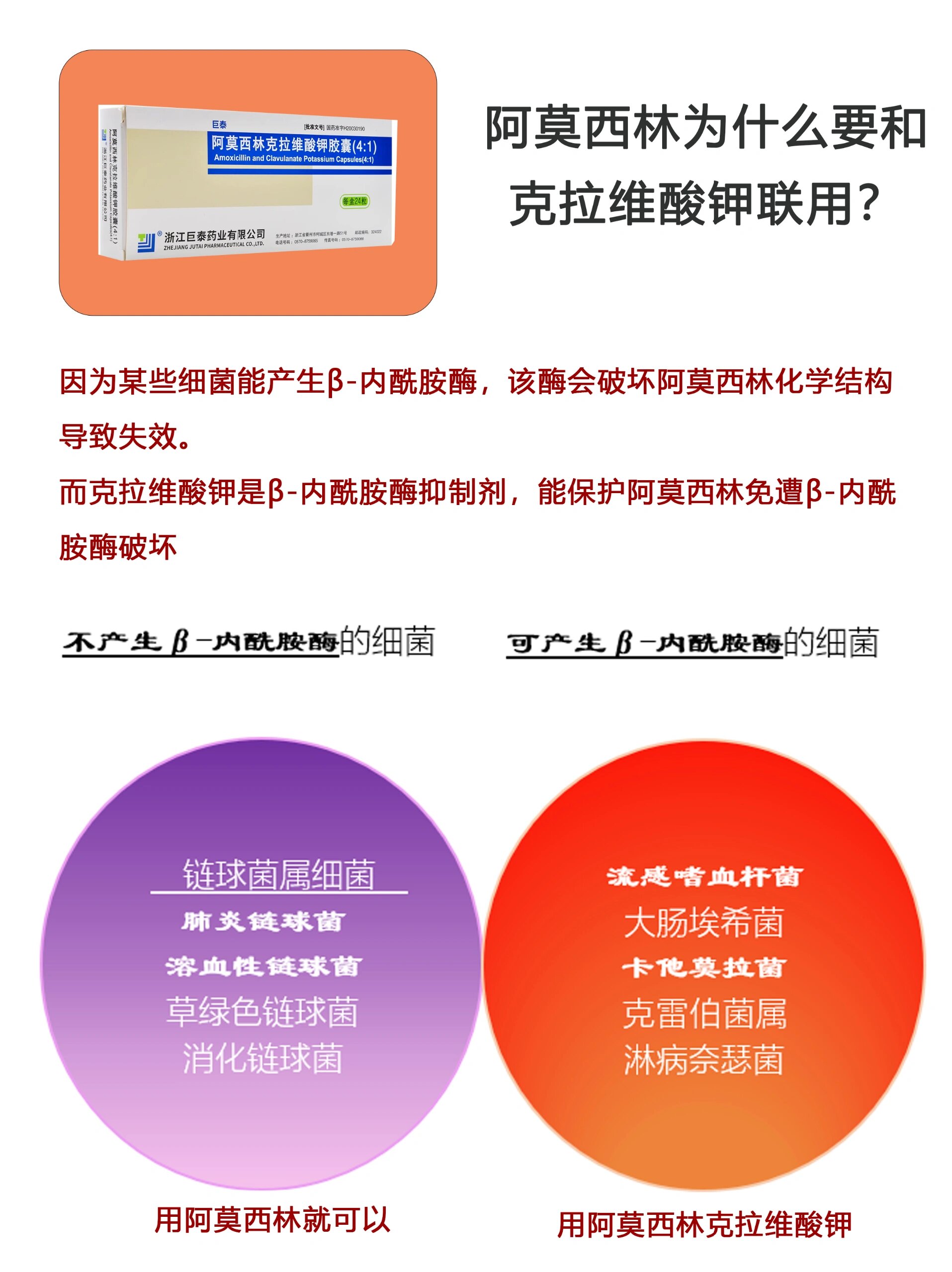 阿莫西林克拉维酸钾与阿莫西林有何区别?