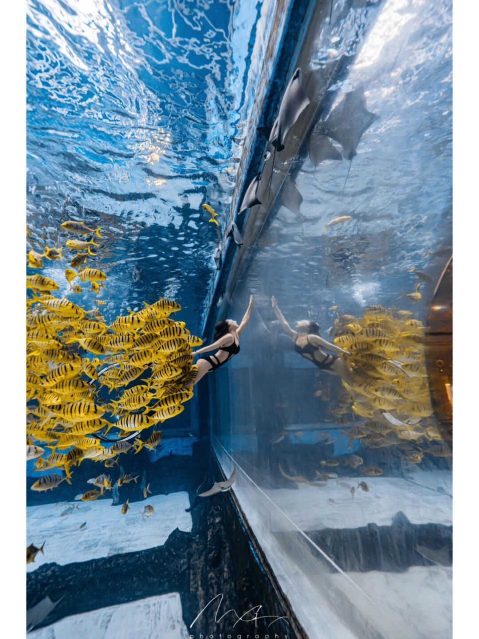 自由潜水|潜水员的朋友圈文案 7815人生在一念之间,自潜在一息