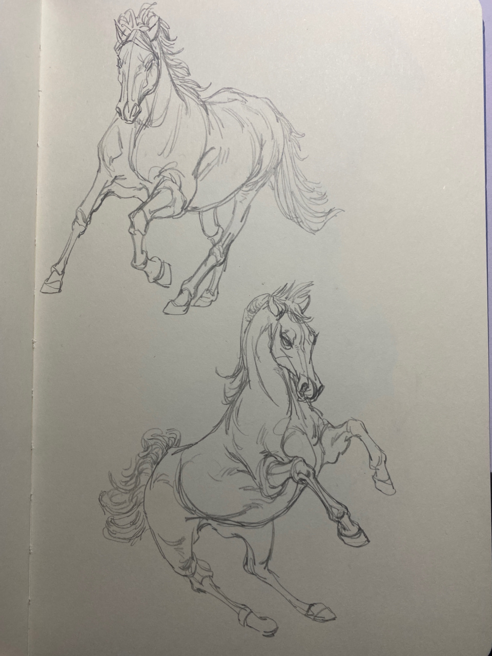 3自动铅笔 本子:conceptum素描本a5