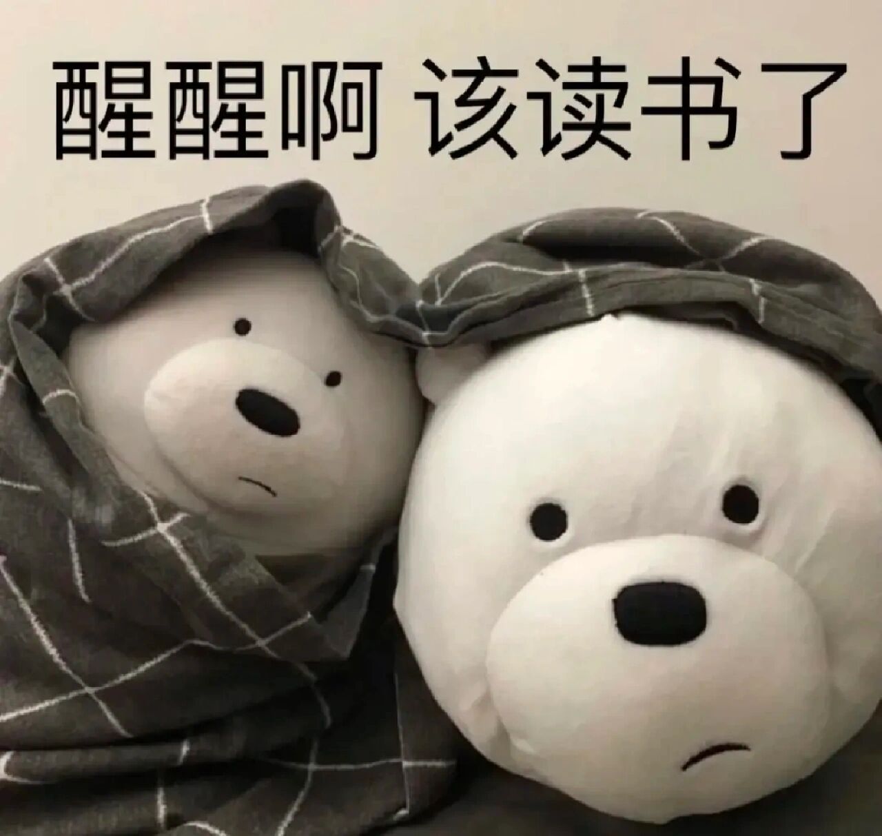 读书表情包