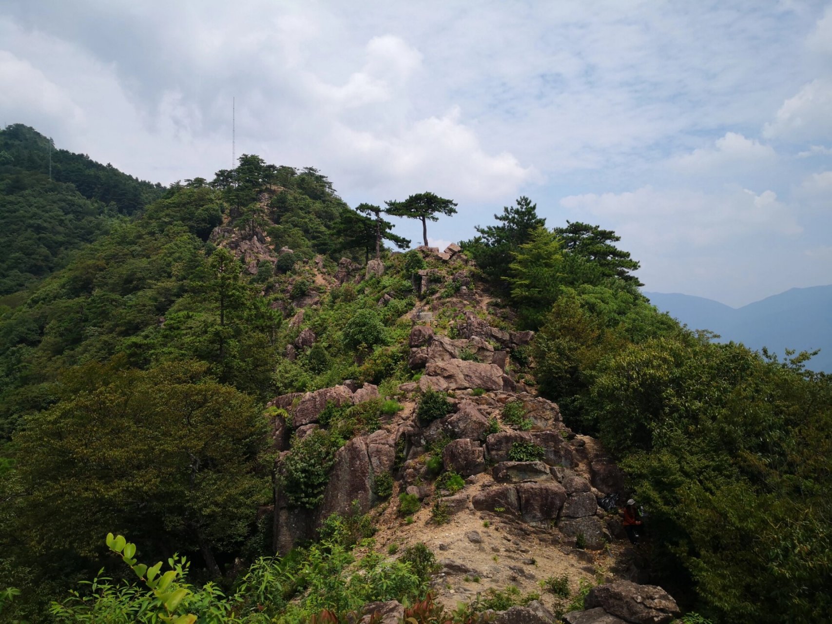 西天目山大树王仙人顶环线 有蚂蟥马蜂出没 23.08.