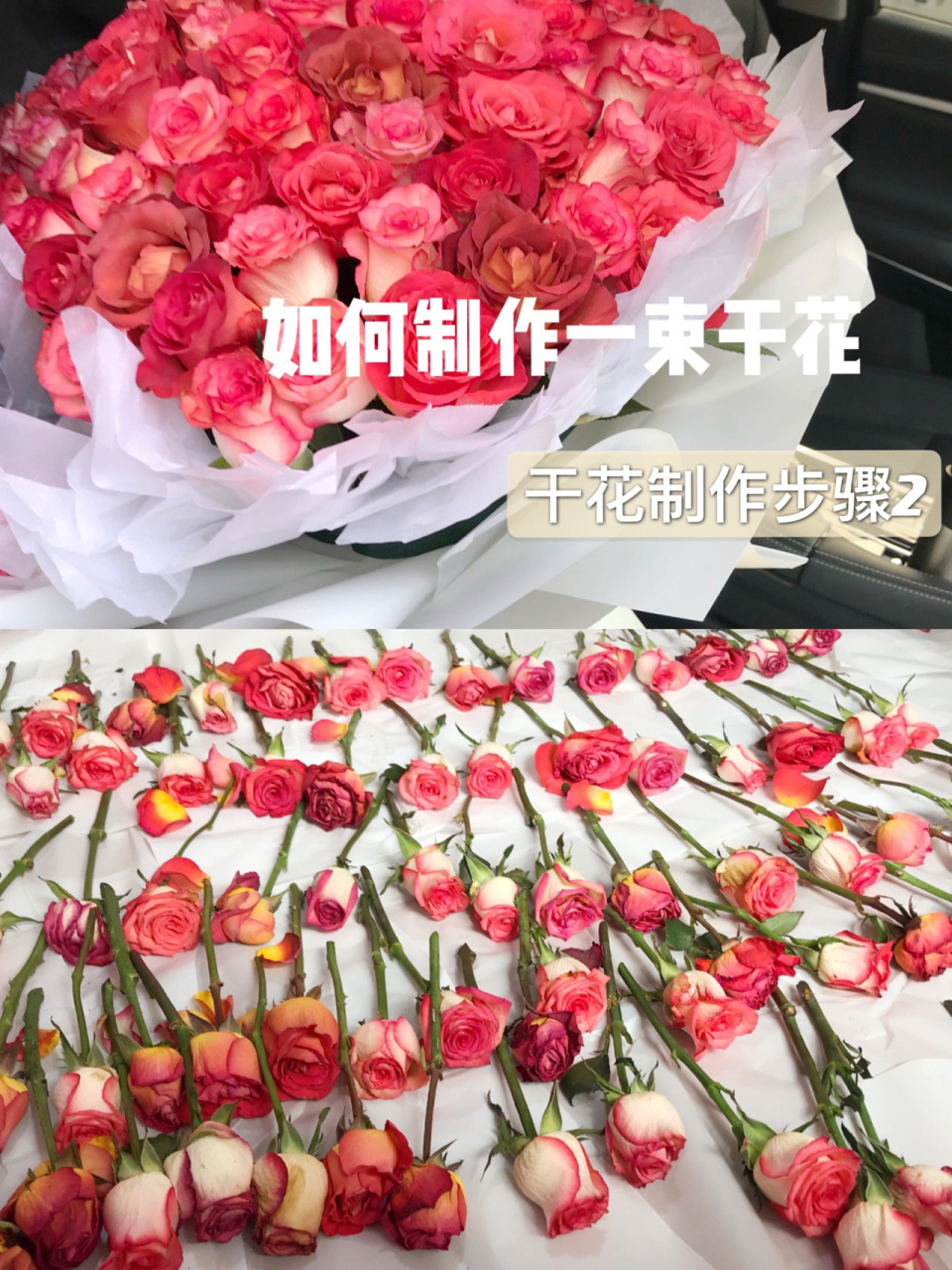 留存永久的鲜花·干花制作步骤附注意事项 99之前发布的一篇干花