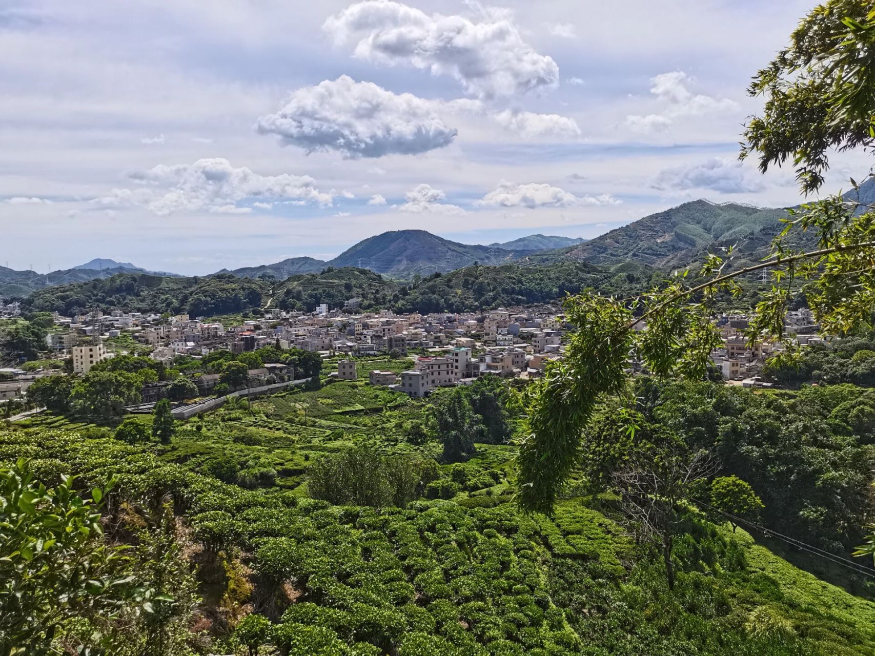 单丛茶之乡-饶平坪溪观茶亭 周末开车去饶平买单丛茶,开了好几十公里