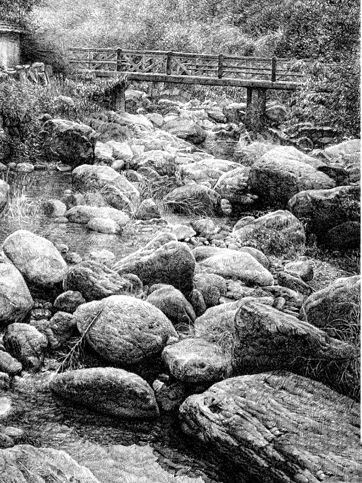 写实钢笔画《涧》清晰图及局部