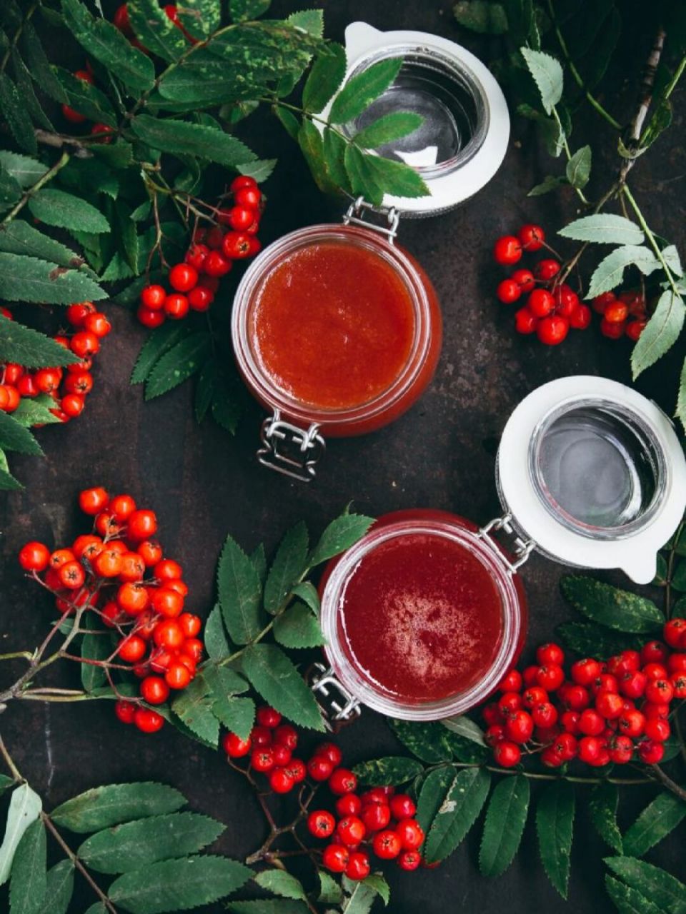 英式罗文浆果果冻 |rowan berry jelly90 罗文浆果出现在夏末和初秋