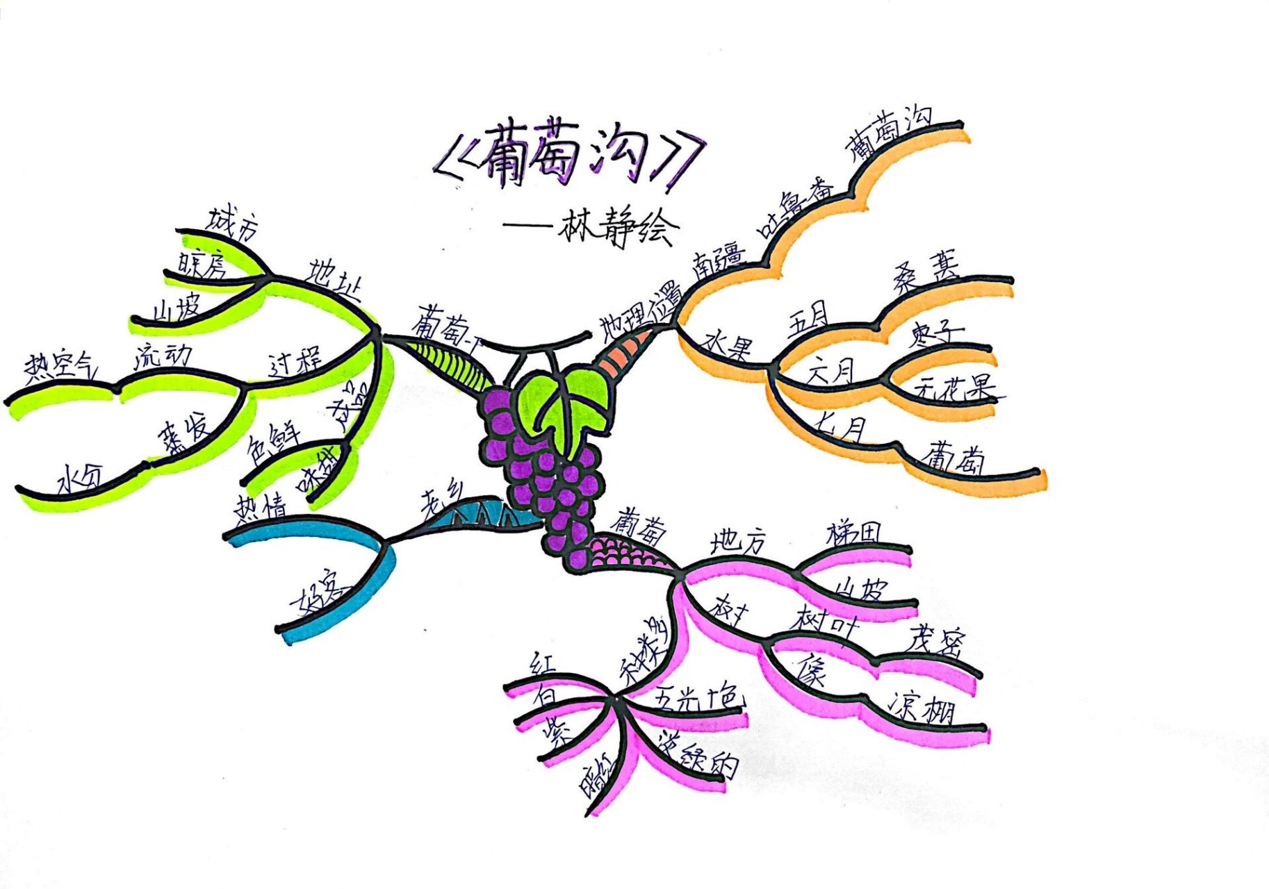 秋天的水果思维导图图片