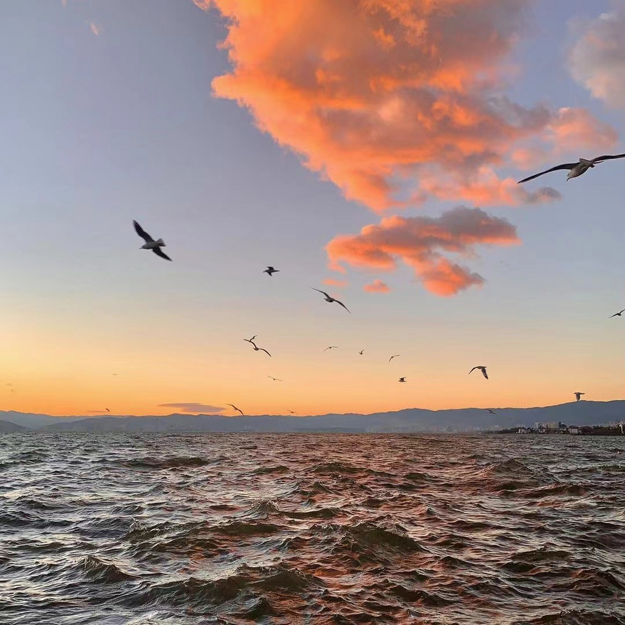 日出图片风景微信头像用什么好 日出代表着朝气蓬勃的一天的开始!