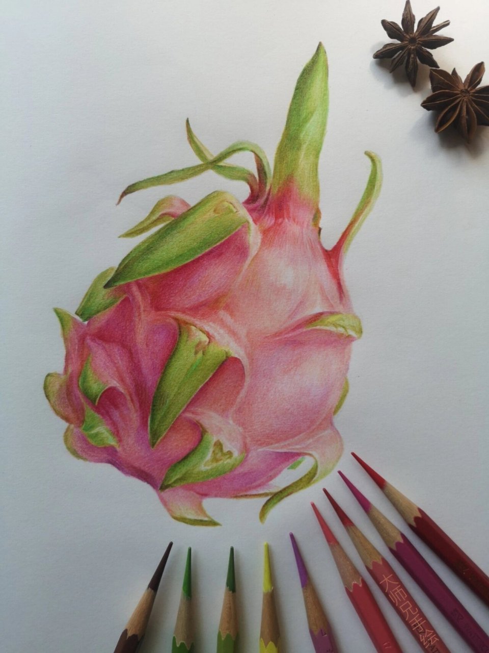 彩铅基础入门教程  火龙果  纯干货分享 一个零基础另外有些基础的 都