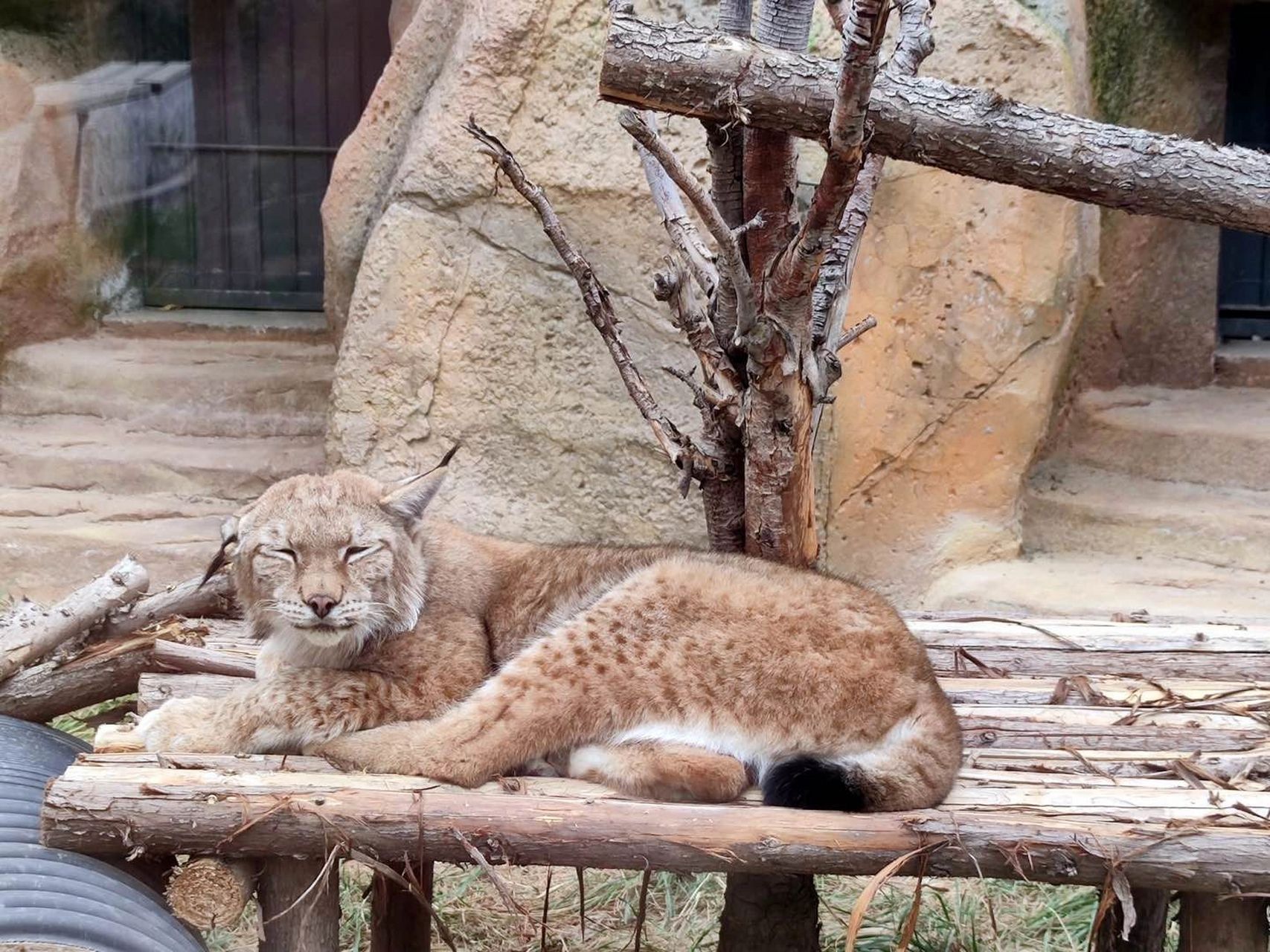 兰州野生动物园攻略 地理位置:兰州市安宁区忠和镇崖川村.