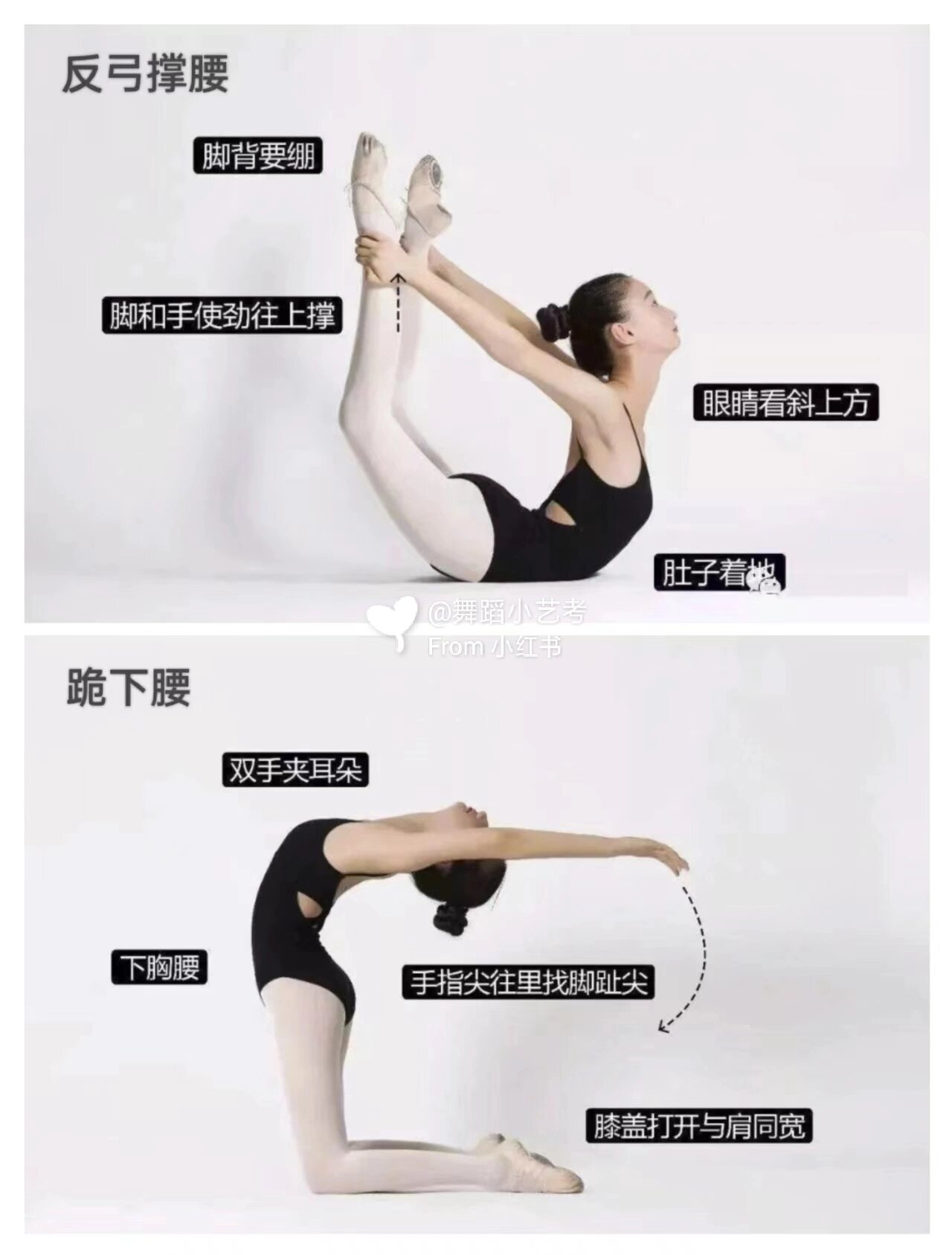 舞蹈小艺考|少儿舞蹈基本功图解第26615弹