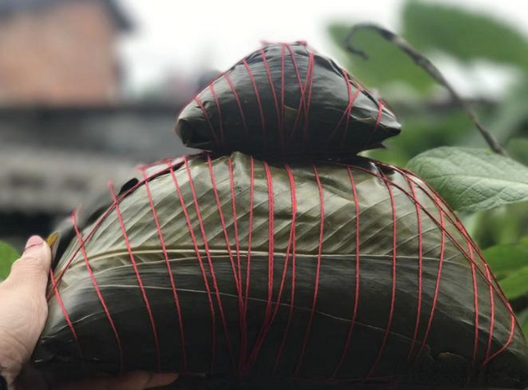 端午节吃粽子,8斤重的灵山大粽绝对是"粽王"了吧.