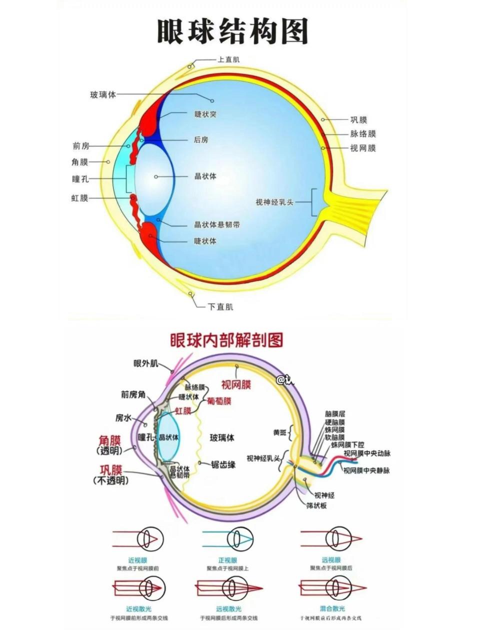 98什么是眼睛71 73外界90%的信息由眼感知眼为视觉器官: 166