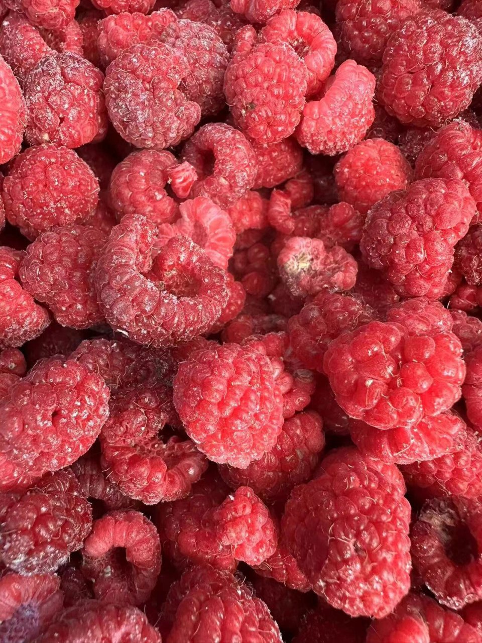 覆盆子 覆盆子(树莓)是顶级的抗氧化水果之一,是最佳健康的必需食品.