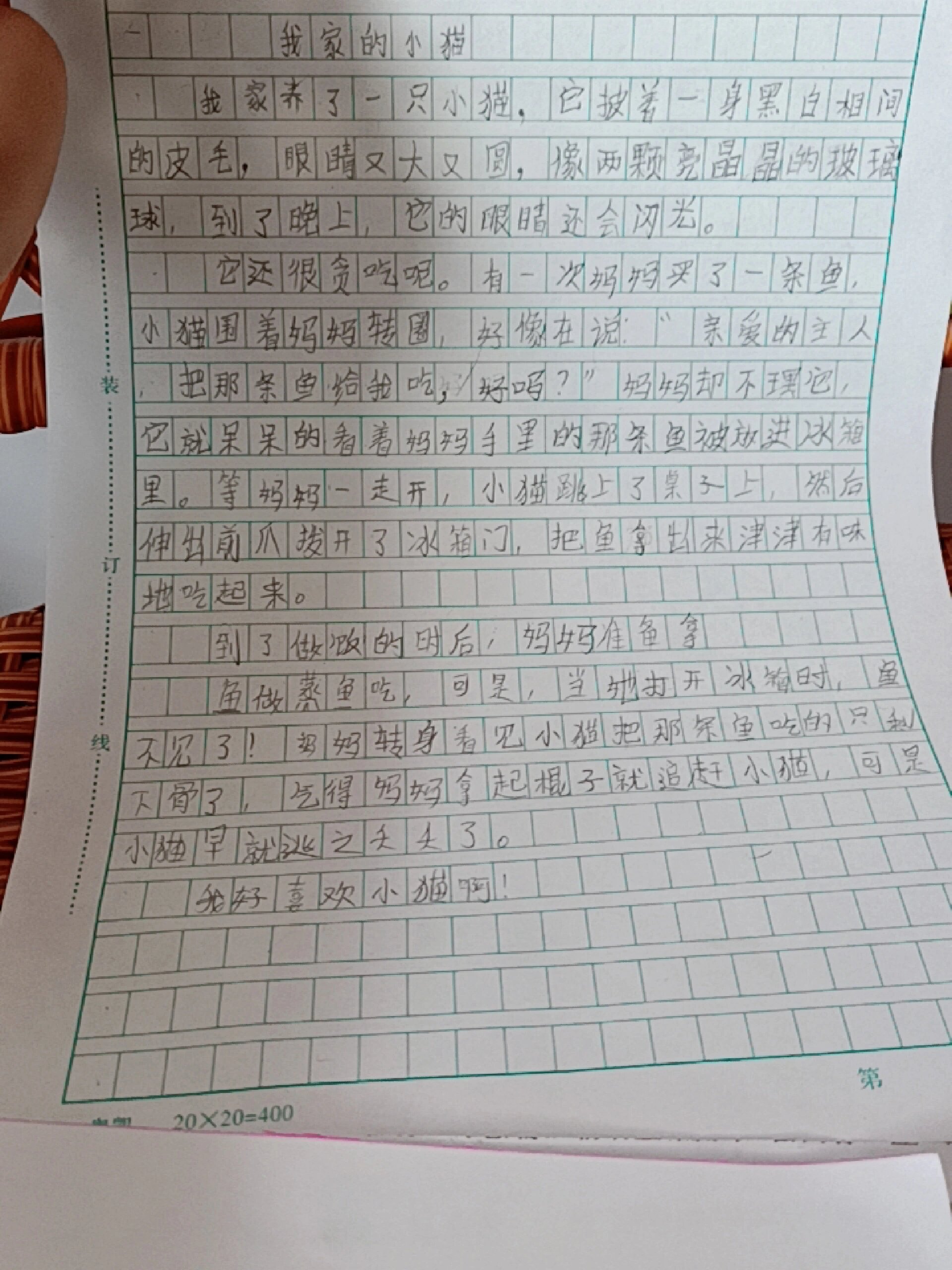 作文300字,我家的小猫