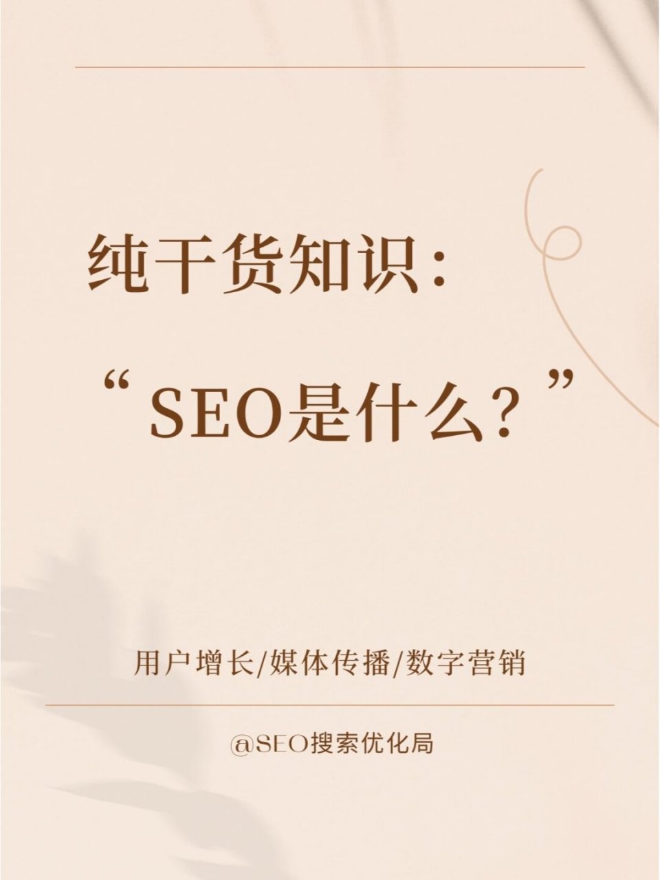 seo引擎搜索_seo引擎搜索入口网址