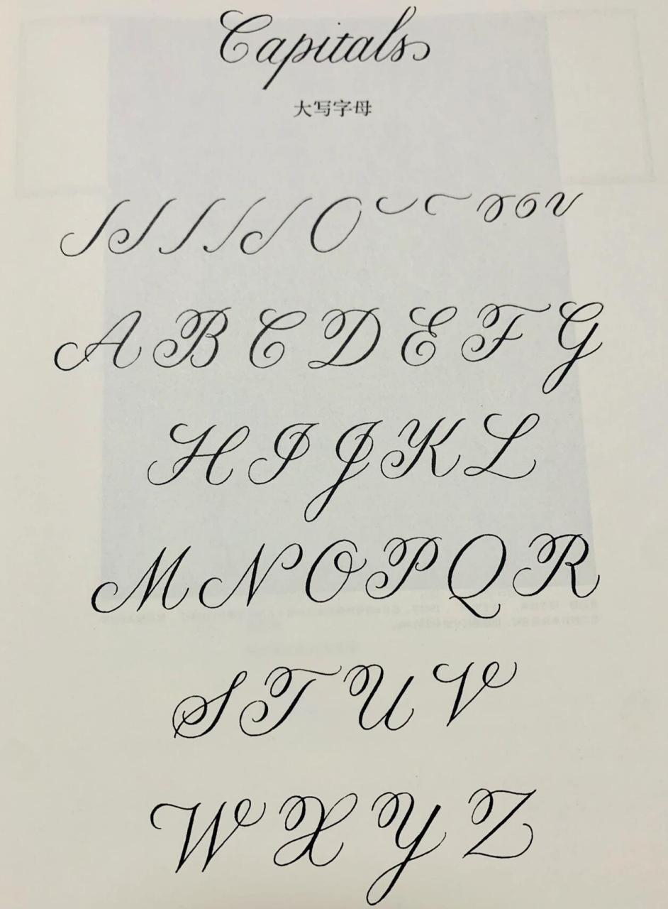 英文书法圆体字day2 英文书法圆体字练习固然重要 而打下理论基础也很