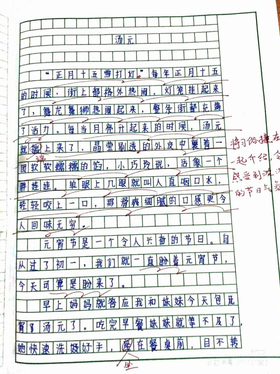 六年级作文《汤圆》(家乡的风俗) (●70●)