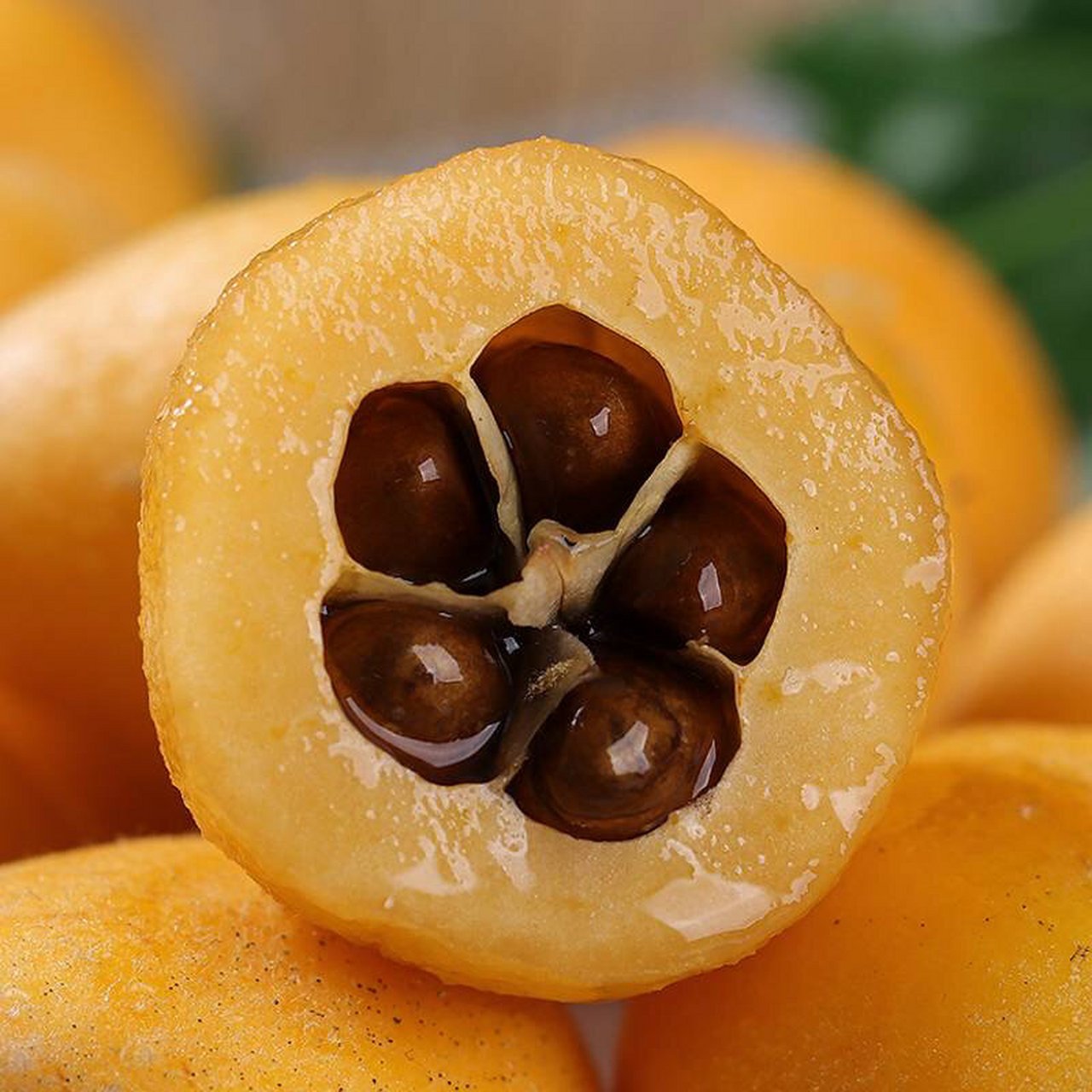 米易早钟枇杷 开春就能尝到的头茬鲜"米易枇杷"来啦~鲜甜爽滑,每年开