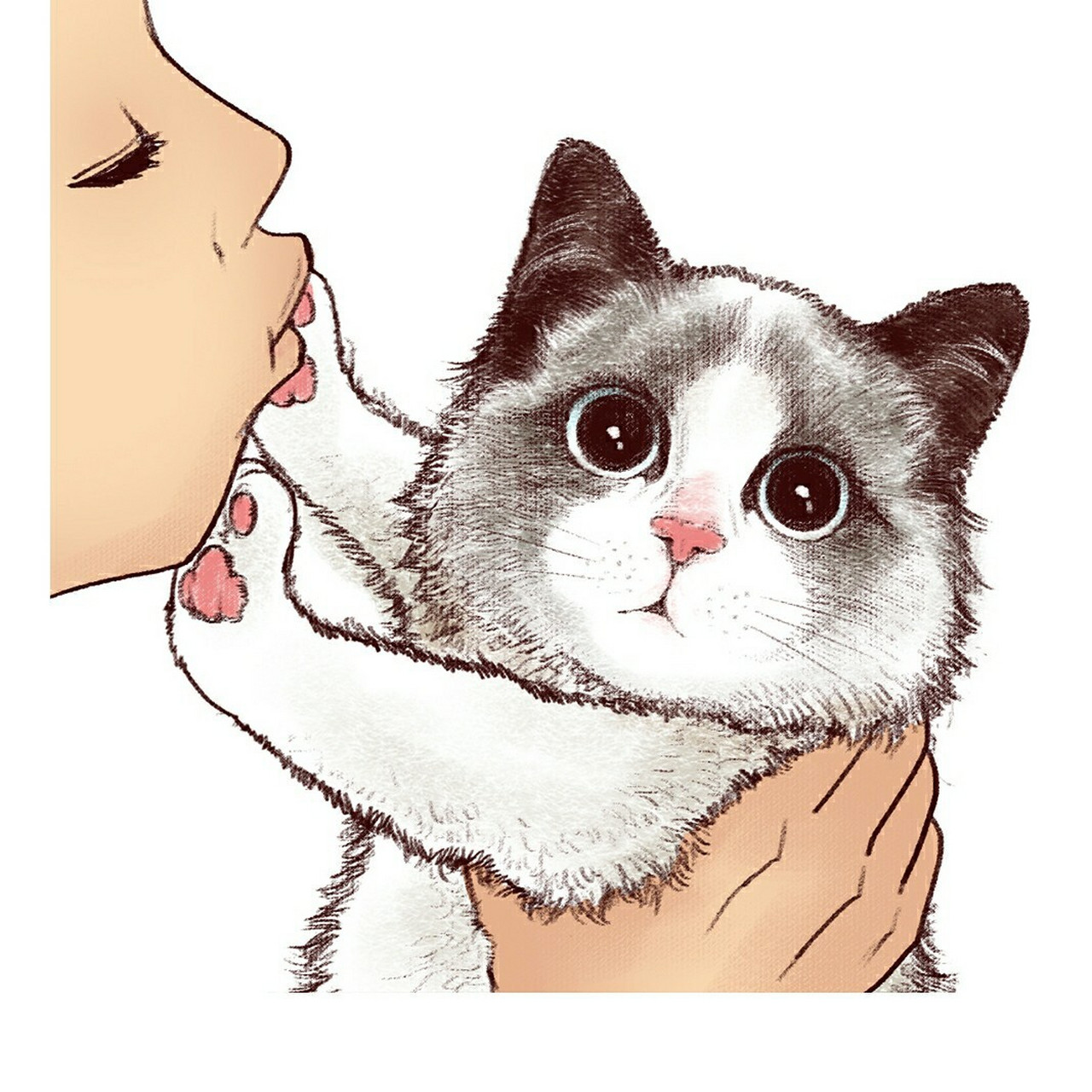 《铲屎官请自重》第一季 元宵节快乐分别是灰狸花  奶牛猫 加菲 折耳