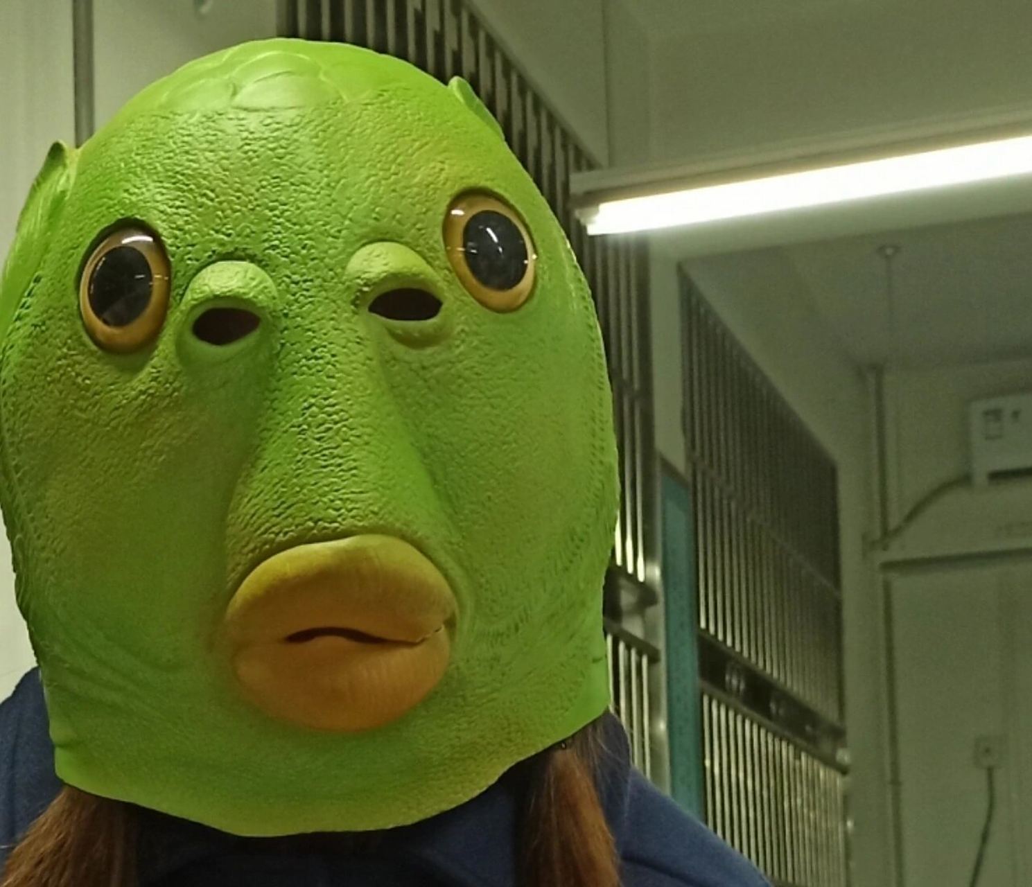 哈哈哈哈哈哈哈哈哈哈哈哈哈哈哈 好适合拿来当头像或者表情包