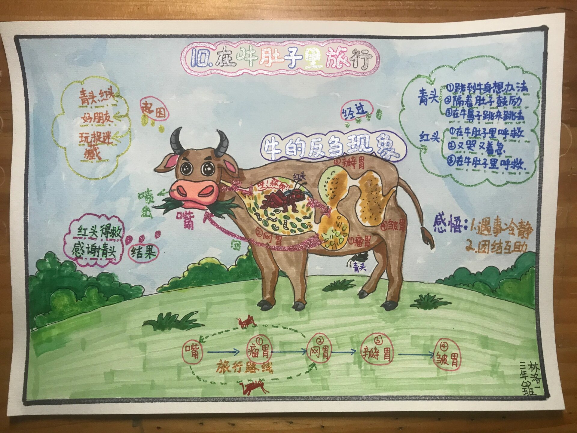 在牛肚子里旅行思维导图画