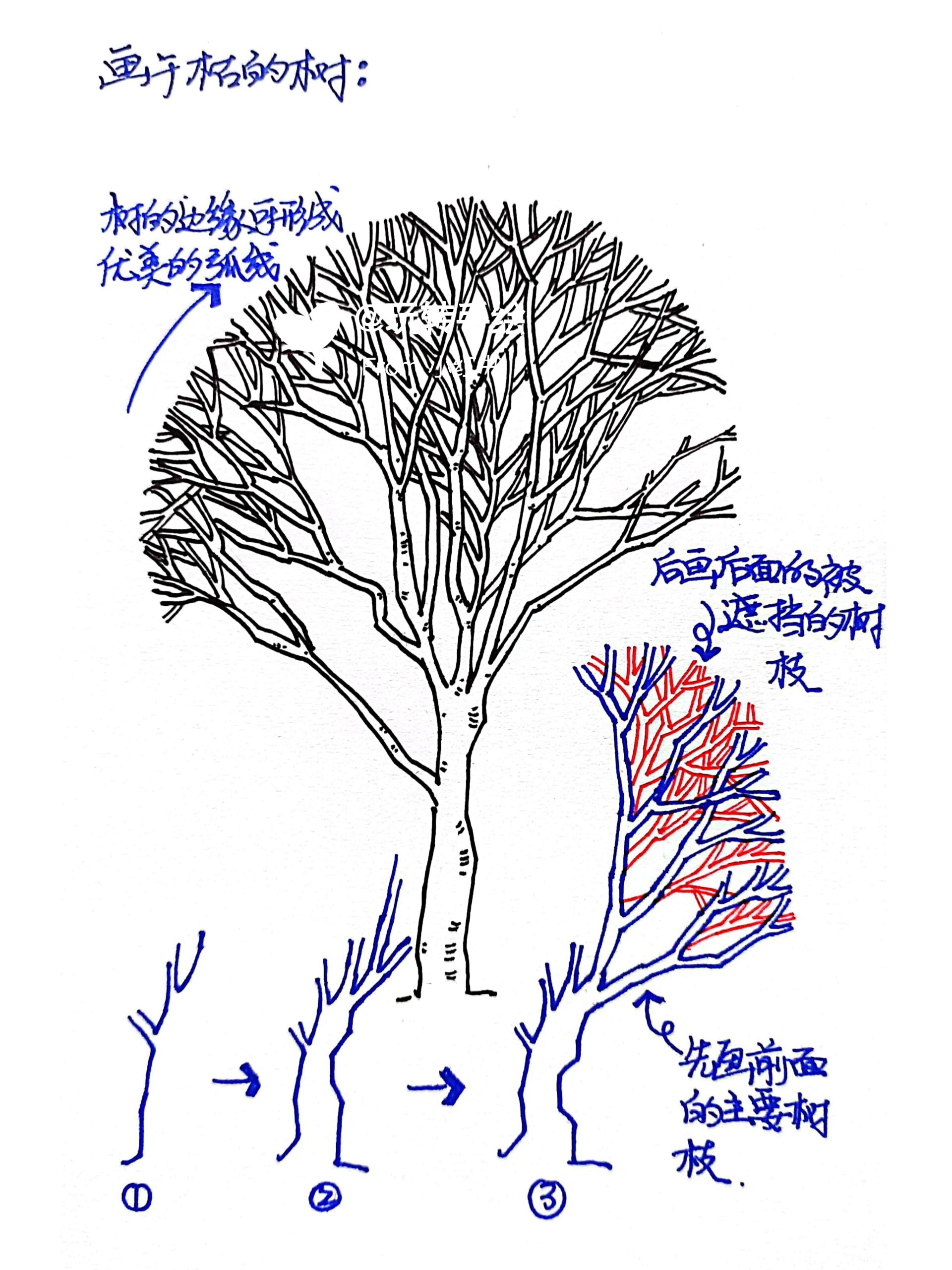 速写‖干枯的树怎么画?没有叶子的树