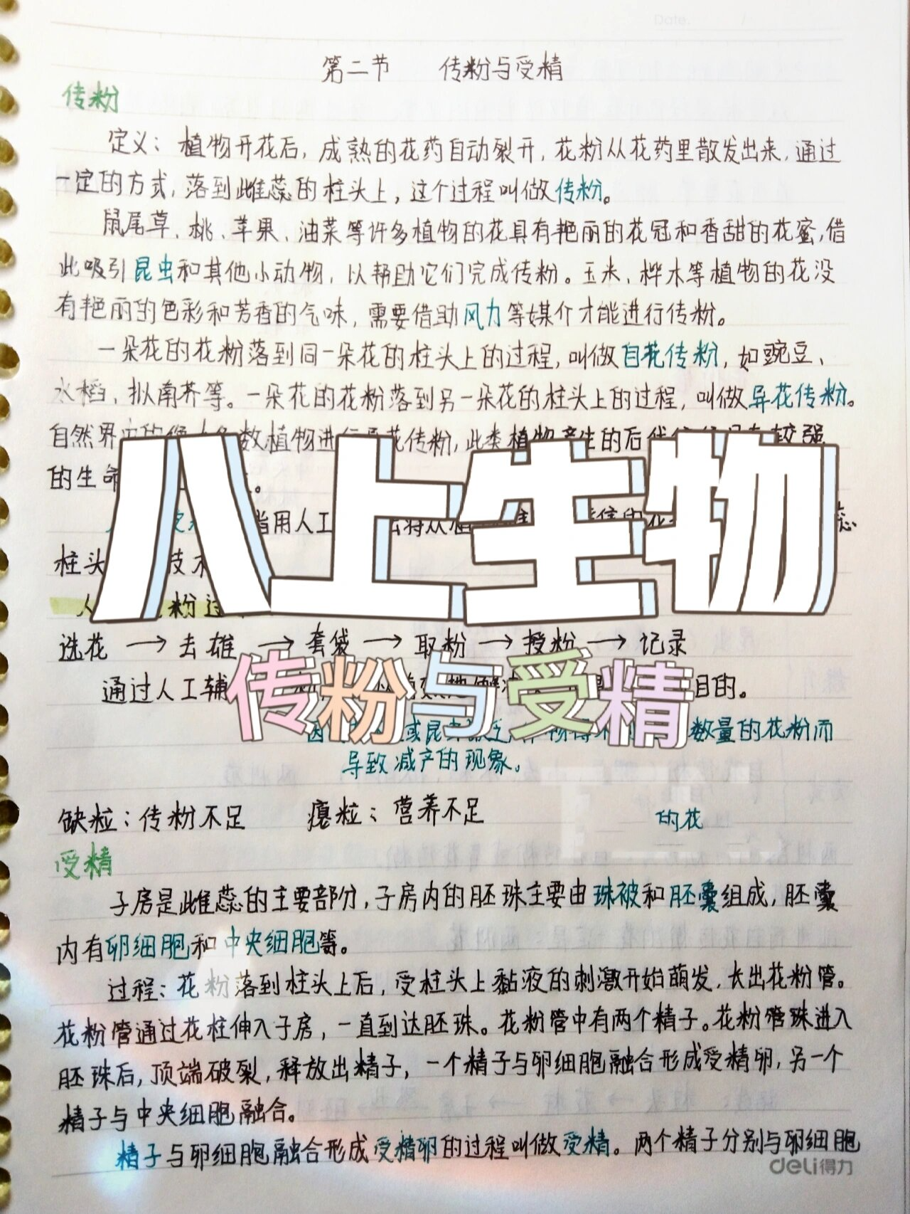 八上生物笔记 传粉与受精