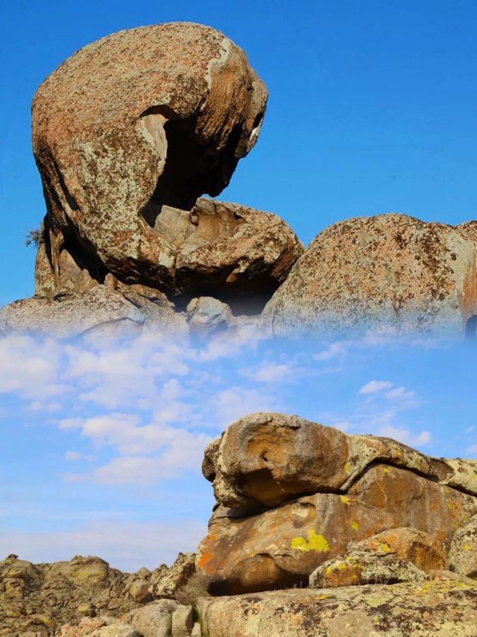 95哈龙沟景区地处阿尔泰低山带,位于新疆阿勒泰地区哈巴河县萨尔布