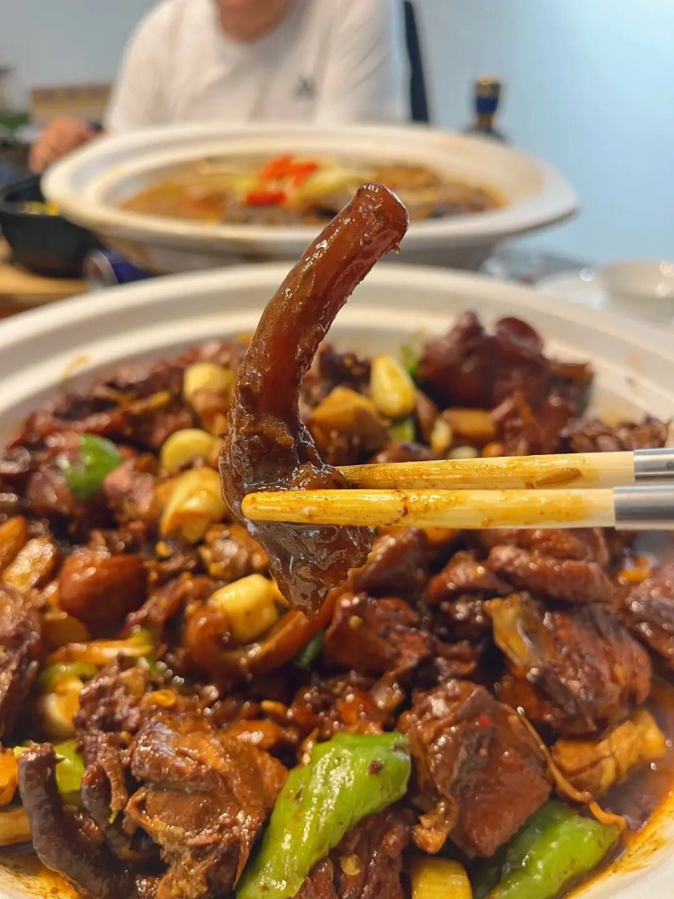 老公鸡扛枪挂炸弹,墨脱石锅老母鸡炖牛鞭,石烹杜仲鸡蛋,砂锅焗南湾湖