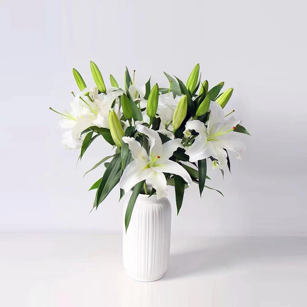 百合花 百合花又被称为山丹,倒仙, 属于百科科植物,草本球根植物.