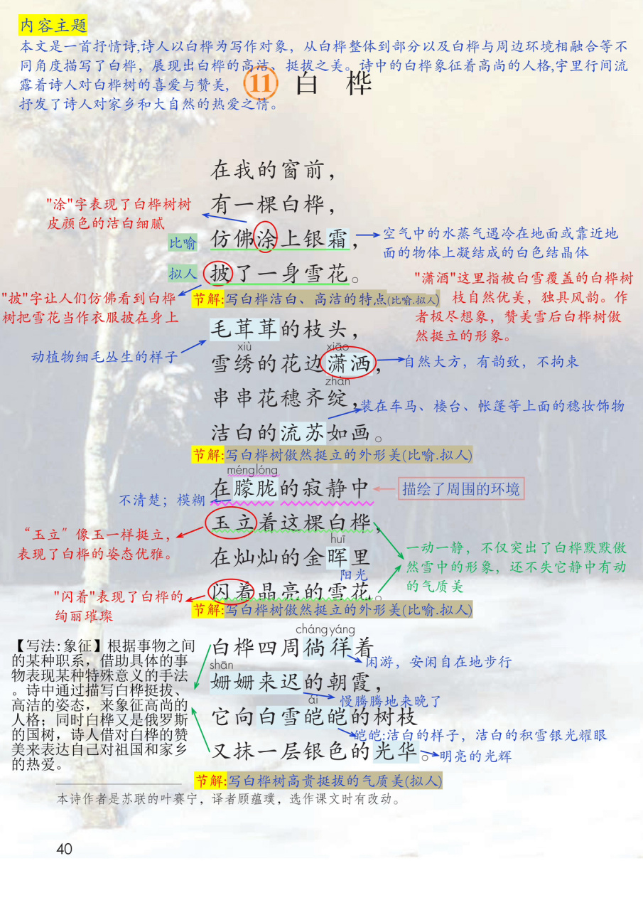 四下9211课《白桦》笔记-1 语文四年级下册从第1课至第11课,课堂