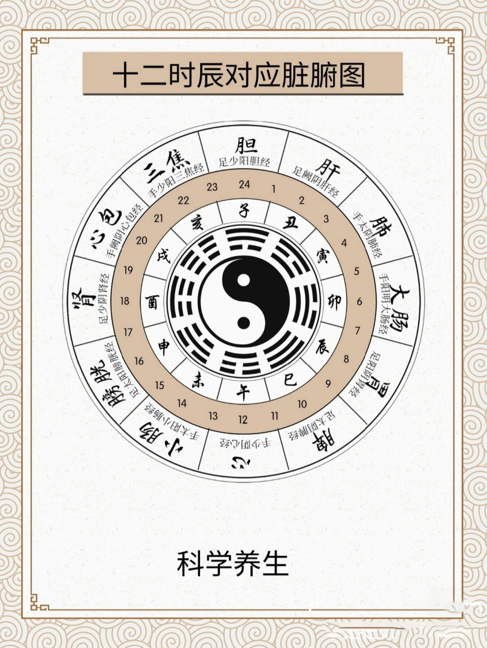 十二时辰脏腑对应表95 中医养生|第一篇 十二时辰对应的脏腑(下)