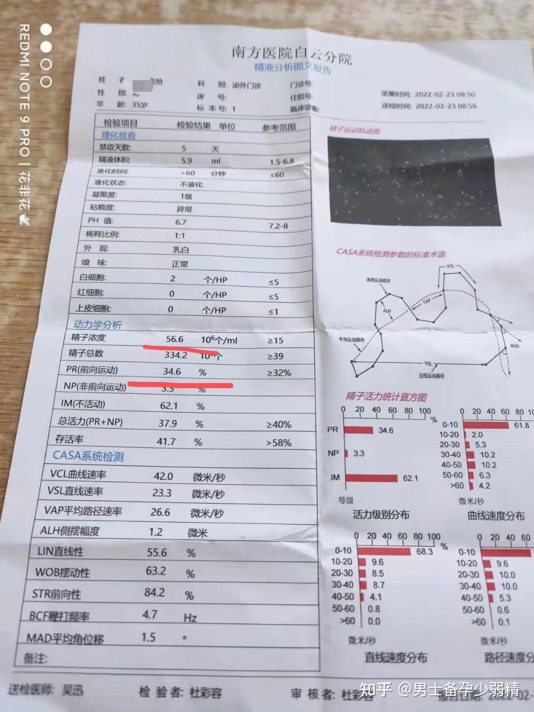 精子浓度图片