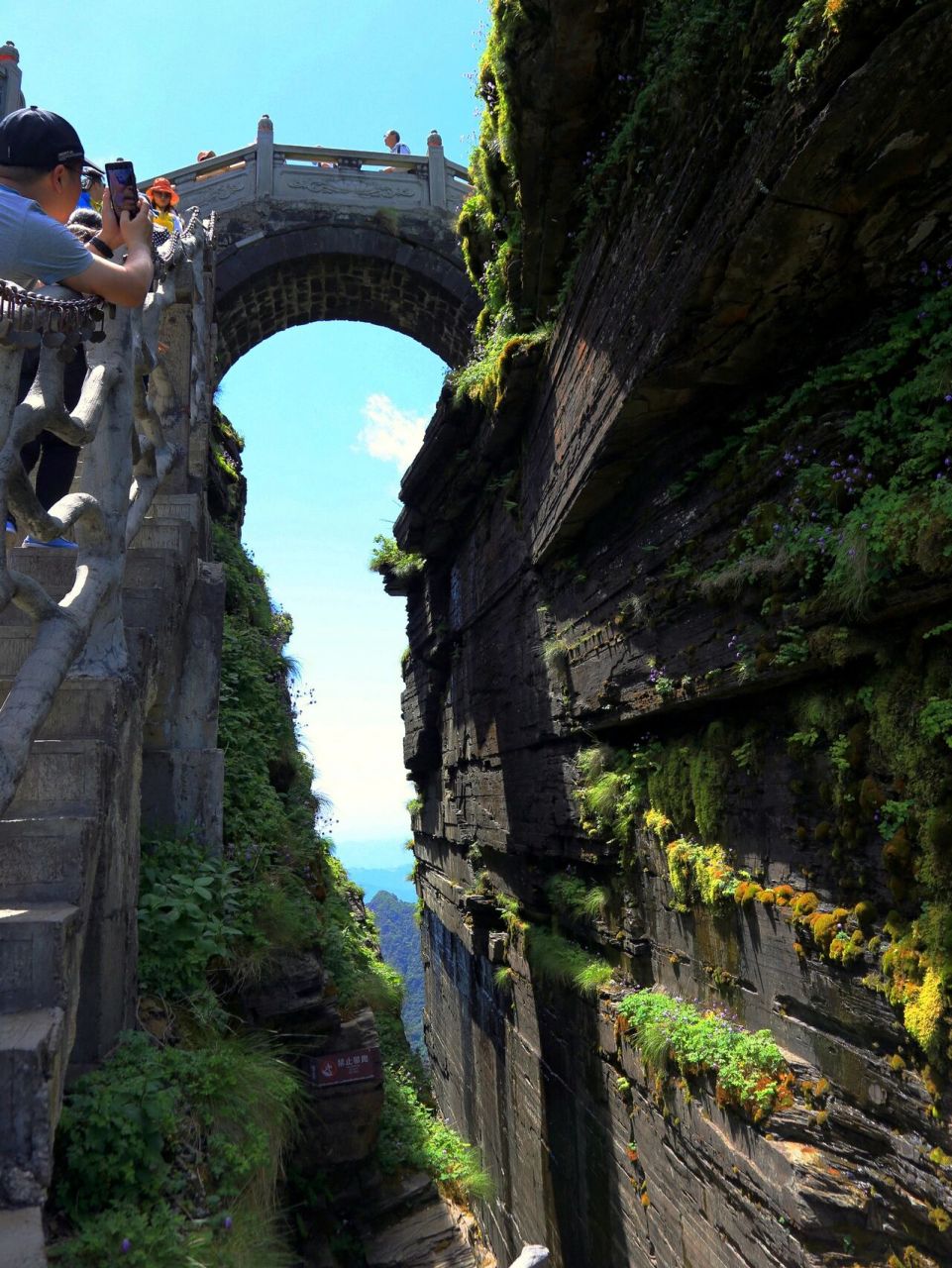 梵净山行记|攀登红云金顶 分享我在贵州梵净山的独行记,从老金顶下撤