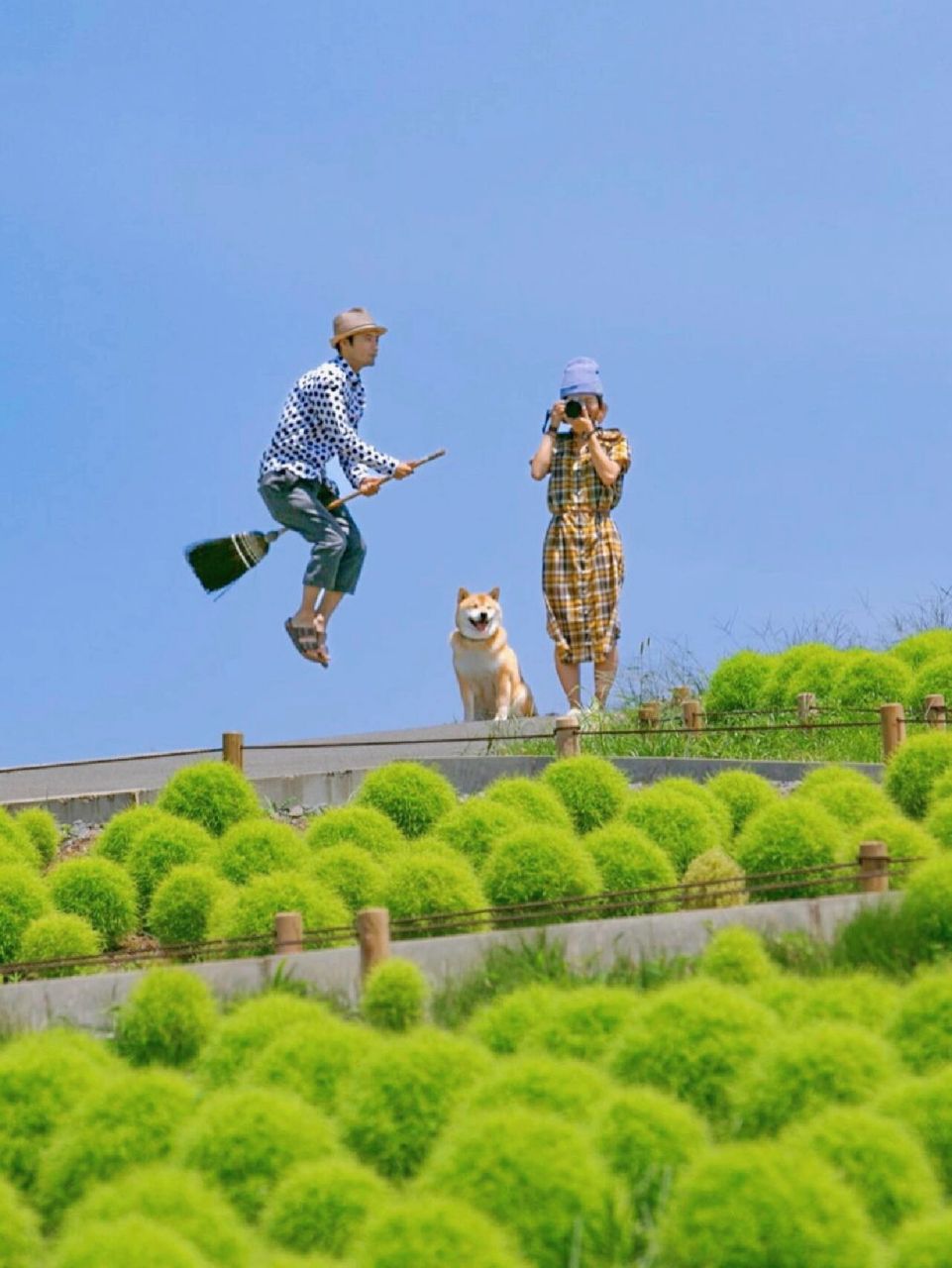 四季绽放的浪漫花海9591茨城海滨公园 日本茨城海滨公园 也叫国营