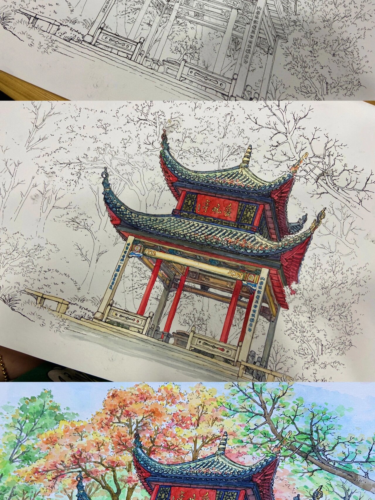 手绘日常篇三:长沙爱晚亭