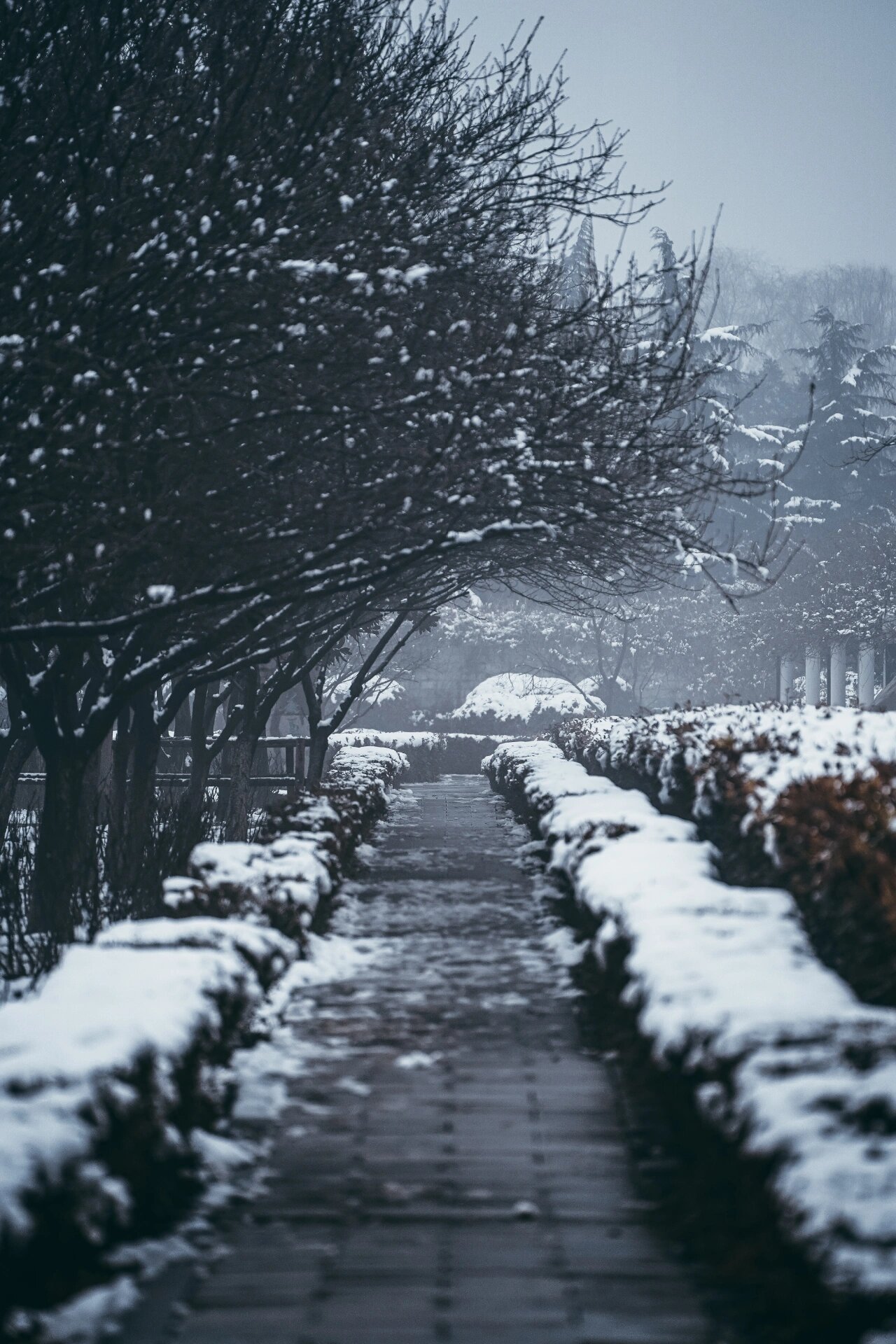 洛阳雪景2022图片