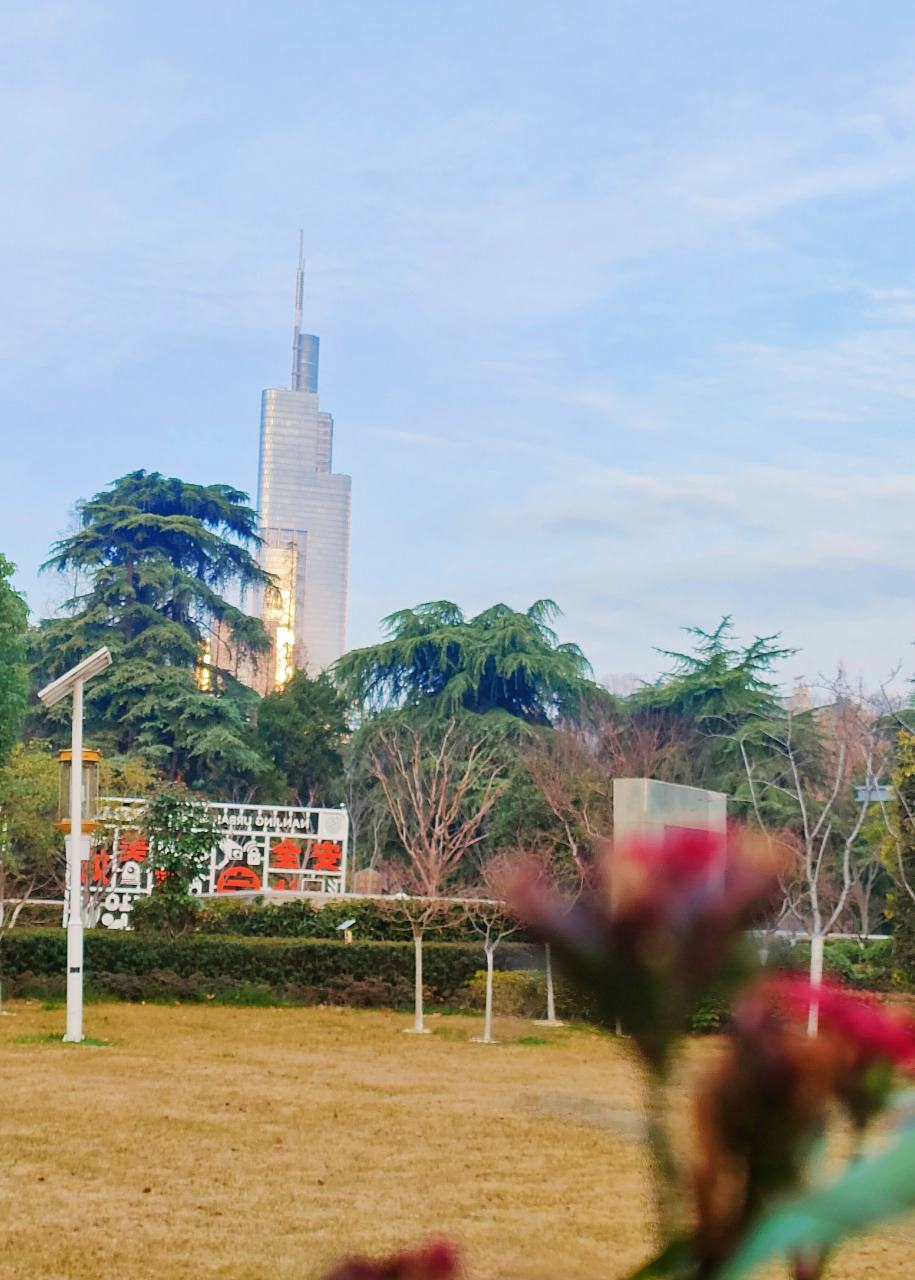 如画如诗 美丽南京 和平公园 #去有风的地方