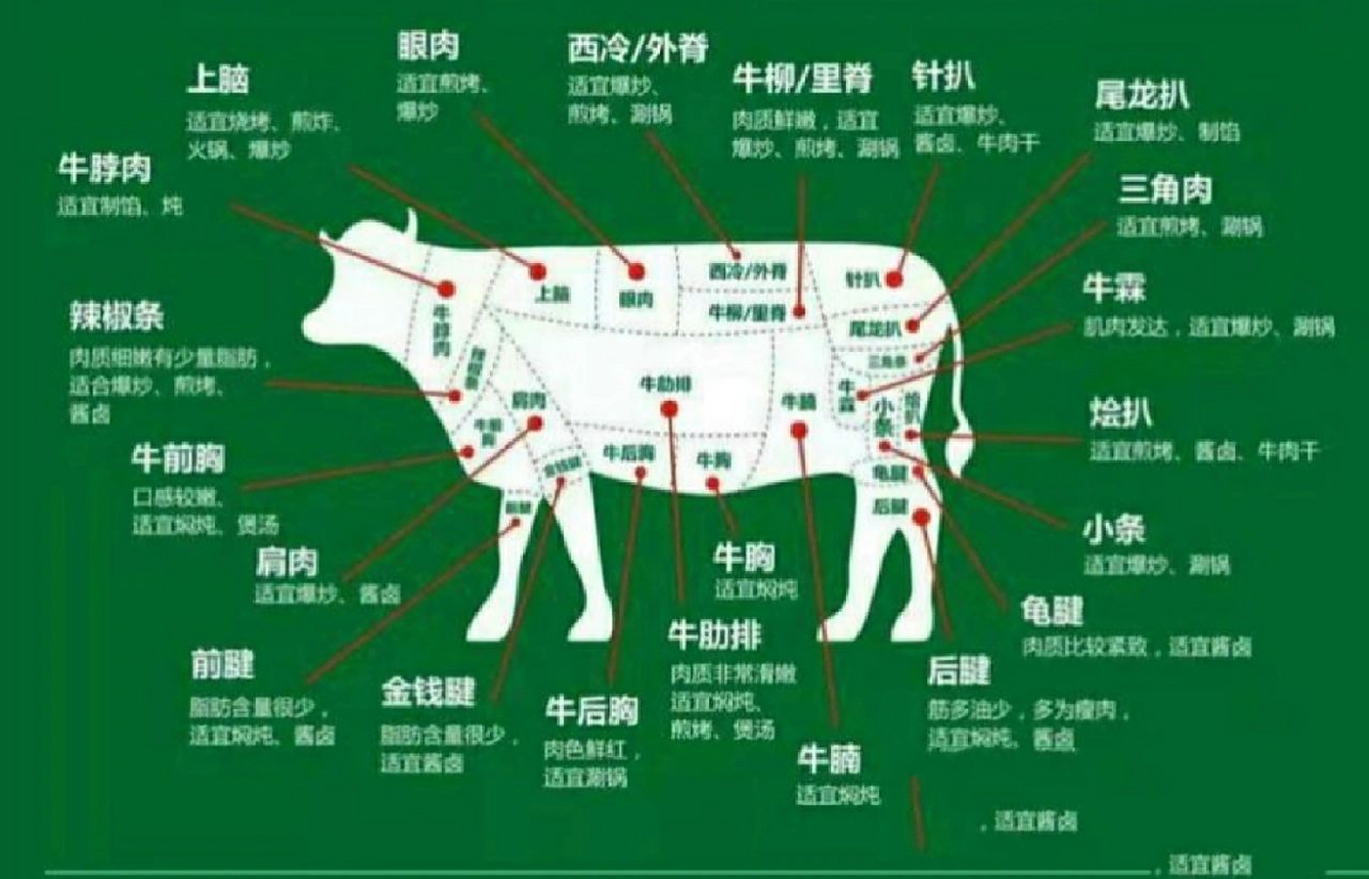 牛肉各部位及健康吃法(上篇) 据说一头黄牛仅有37%的出肉率,新鲜宰割