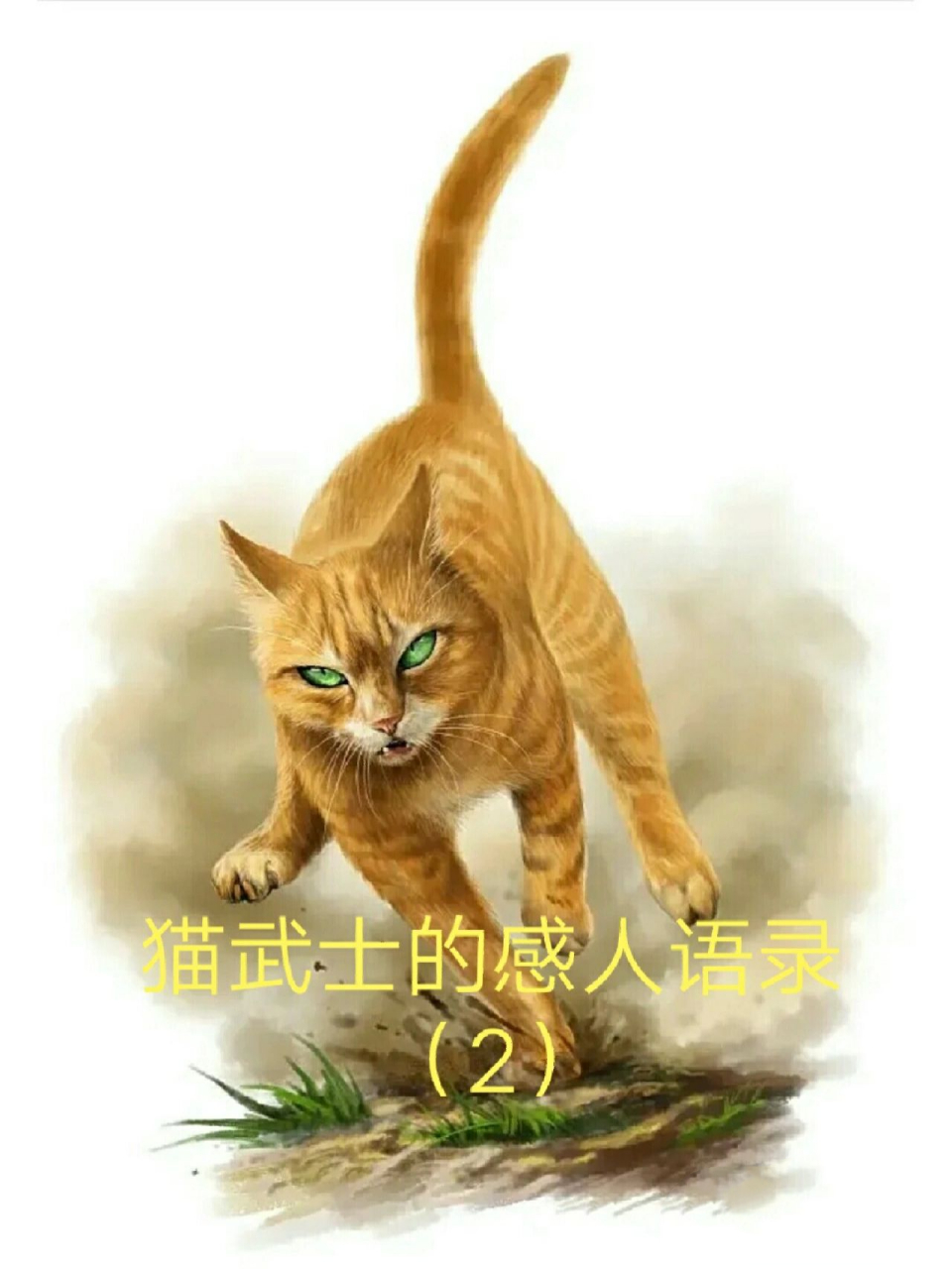 猫武士的感人语录(这些猫怎么这么有才) 我又来了 这几段看的时候震撼