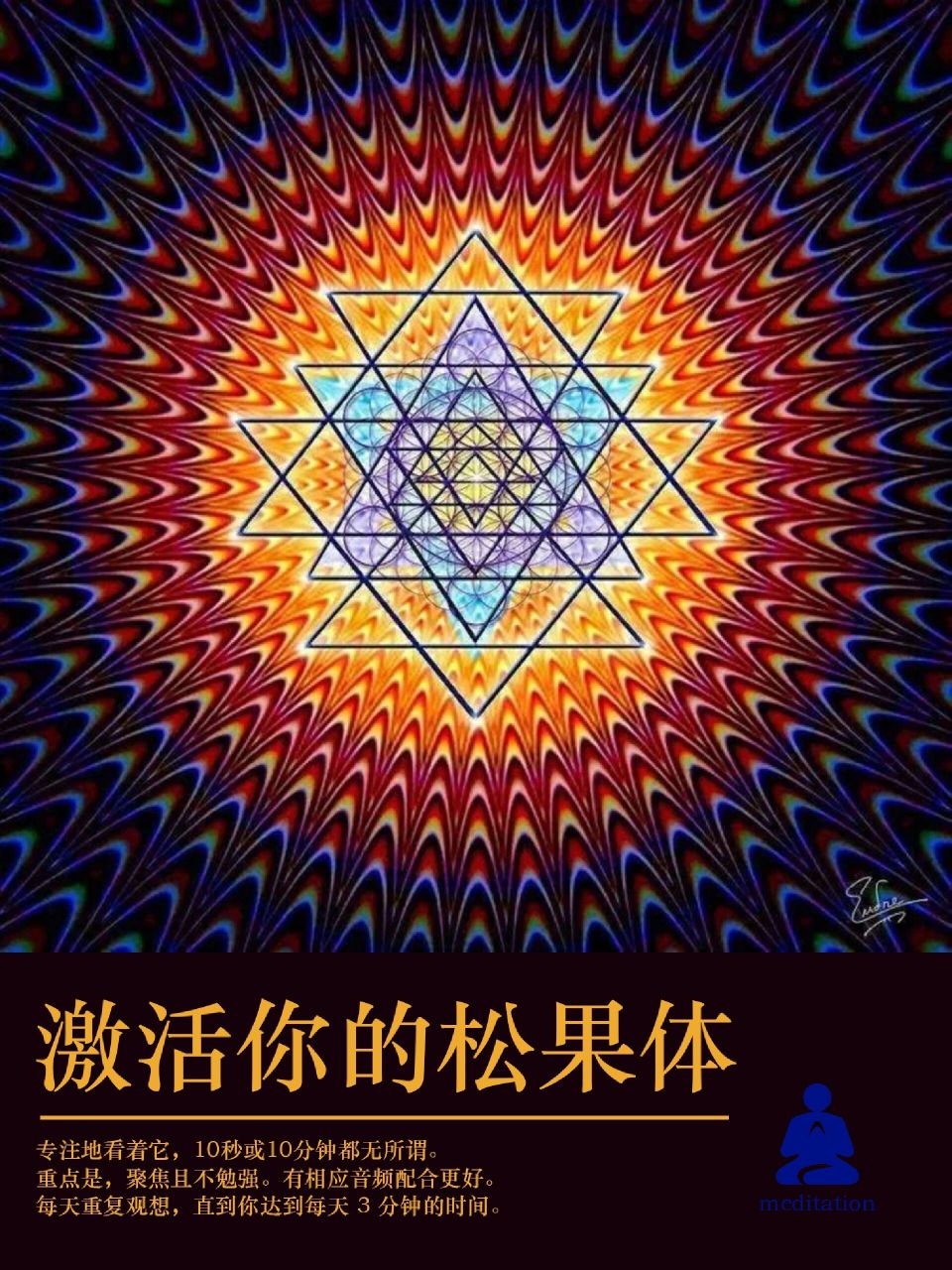 激活你的第三只眼——松果体 松果体位于间脑脑前丘和丘脑之间,为一红