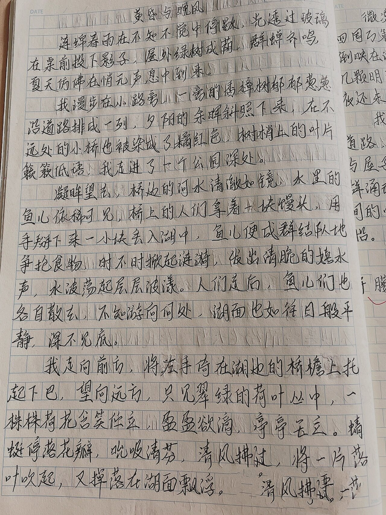 周记500字周末趣事图片