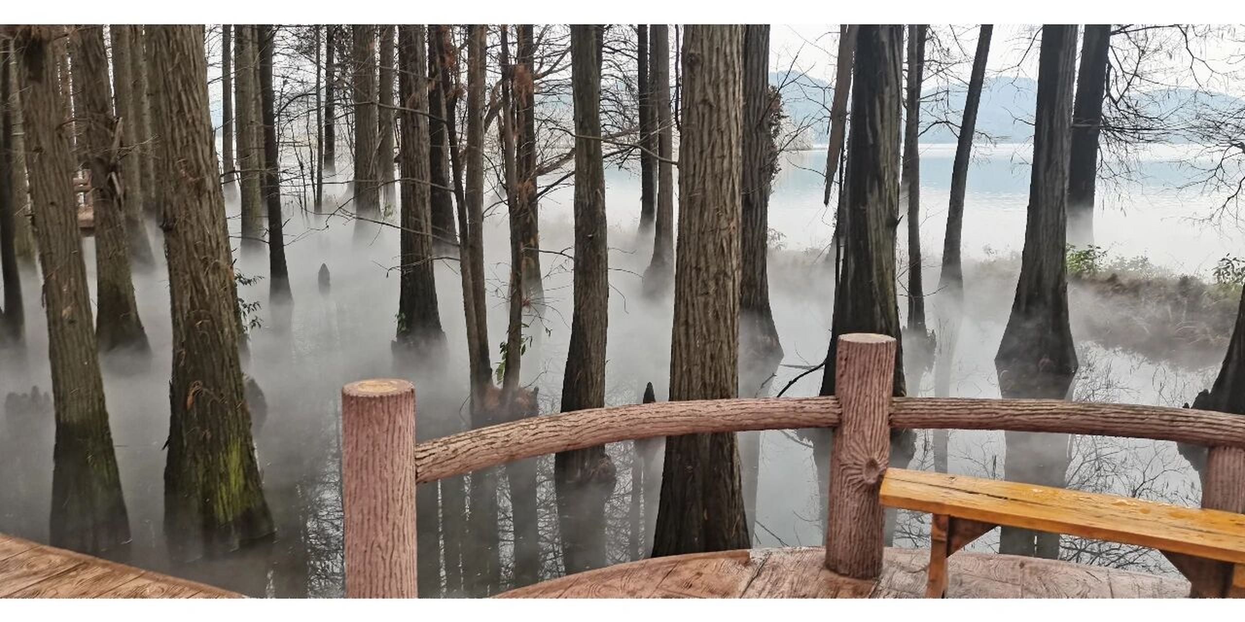 武汉东湖现状 武汉东湖落雁景区九曲桥